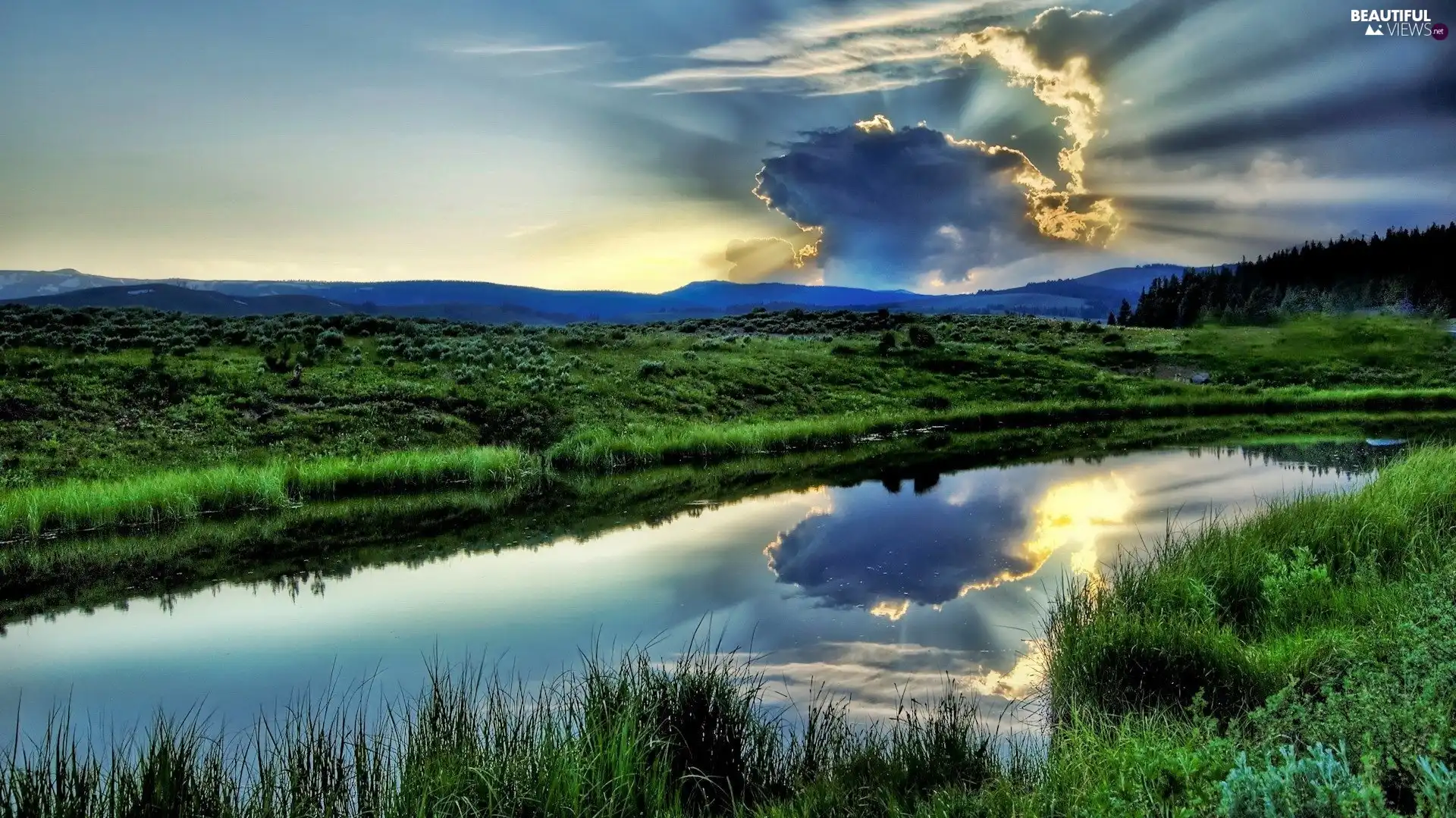 grass, River, Cloud