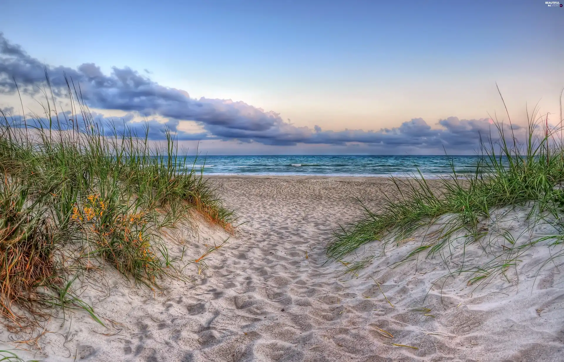 clouds, Beaches, grass, sea