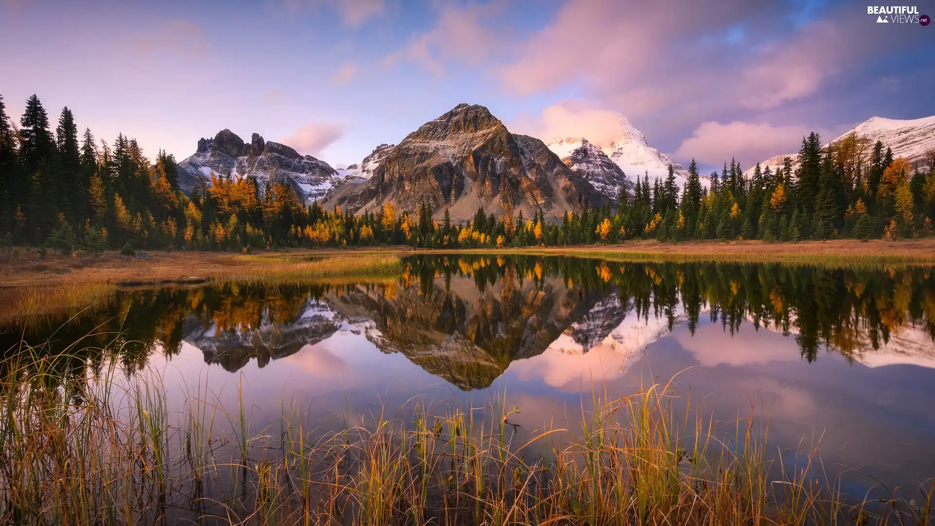 trees, lake, clouds, grass, Mountains, viewes, reflection