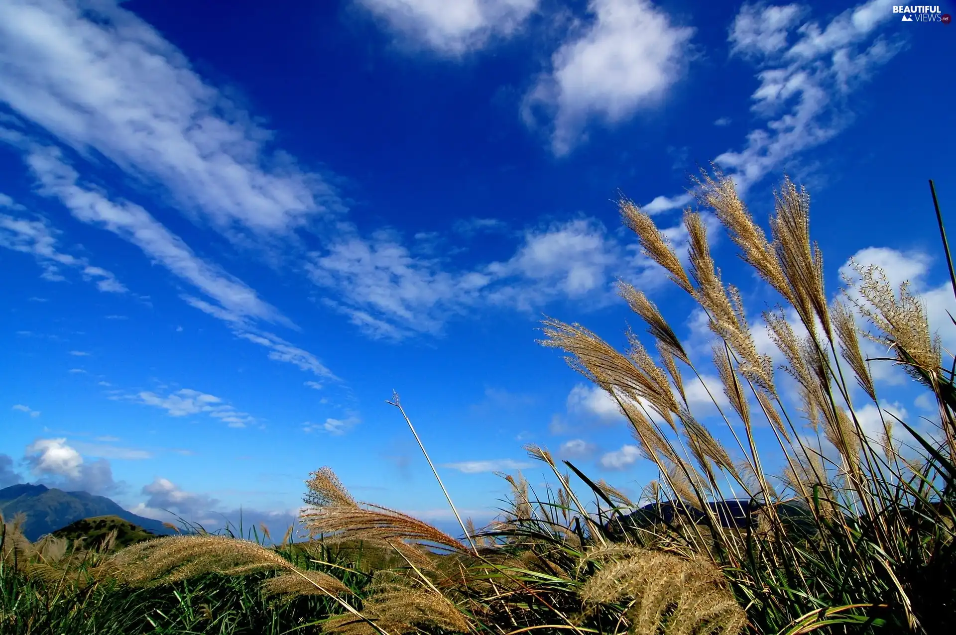 grass, Sky, clouds