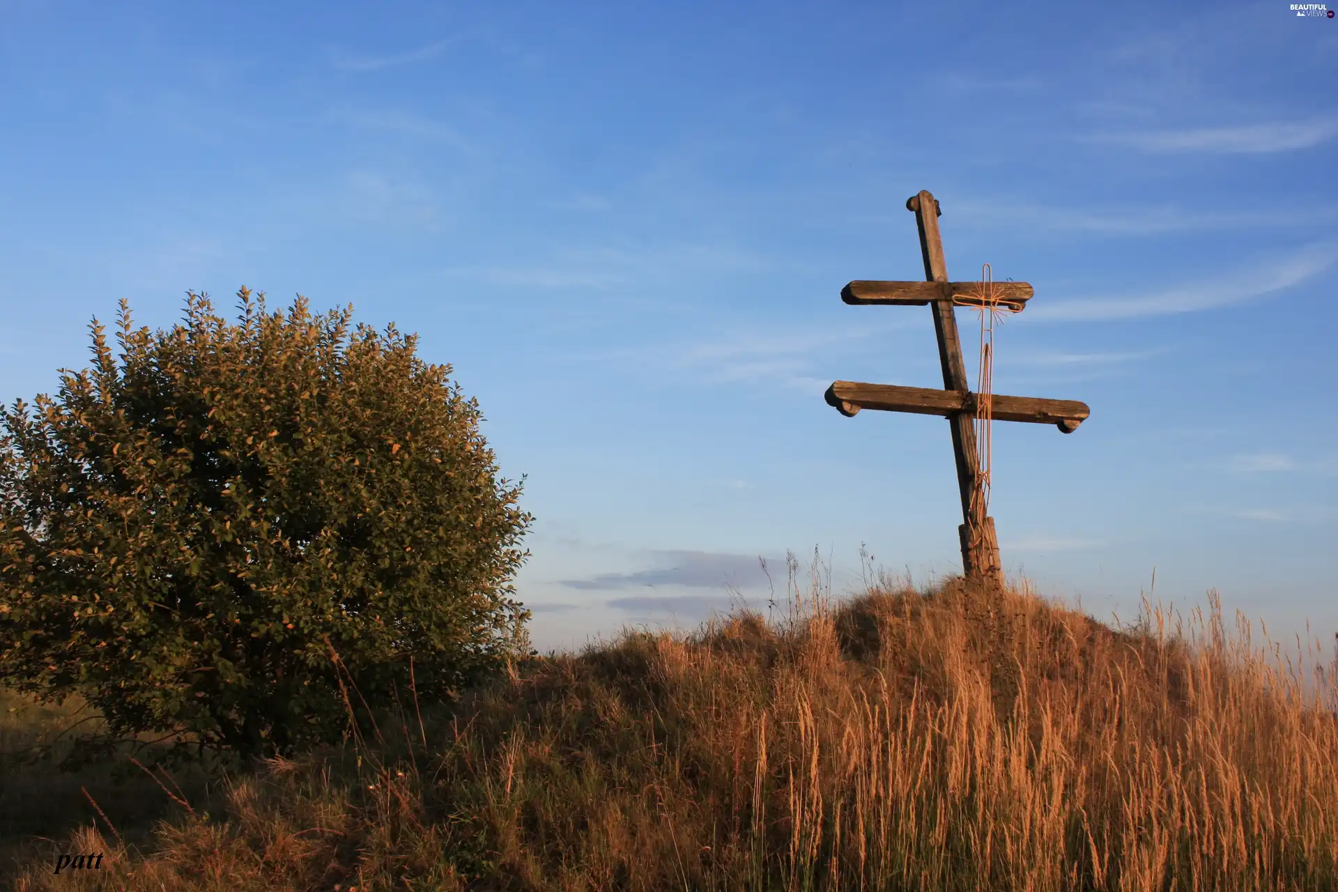 grass, wayside, Cross