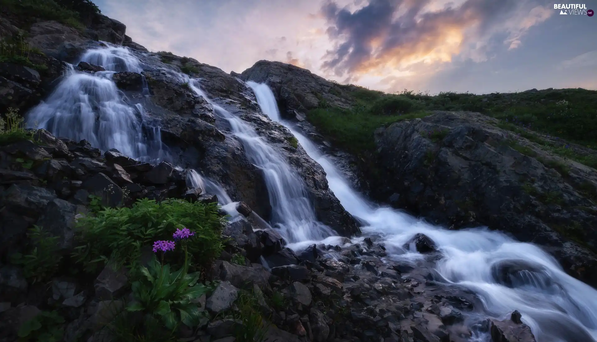 Rocks, grass, Flowers, Stones, waterfall