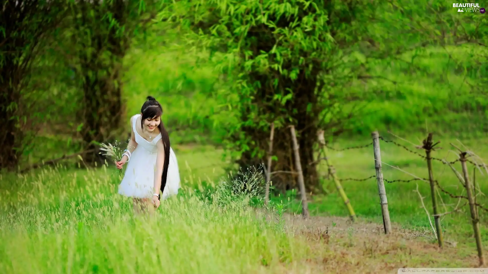 Women, grass, forest, car in the meadow