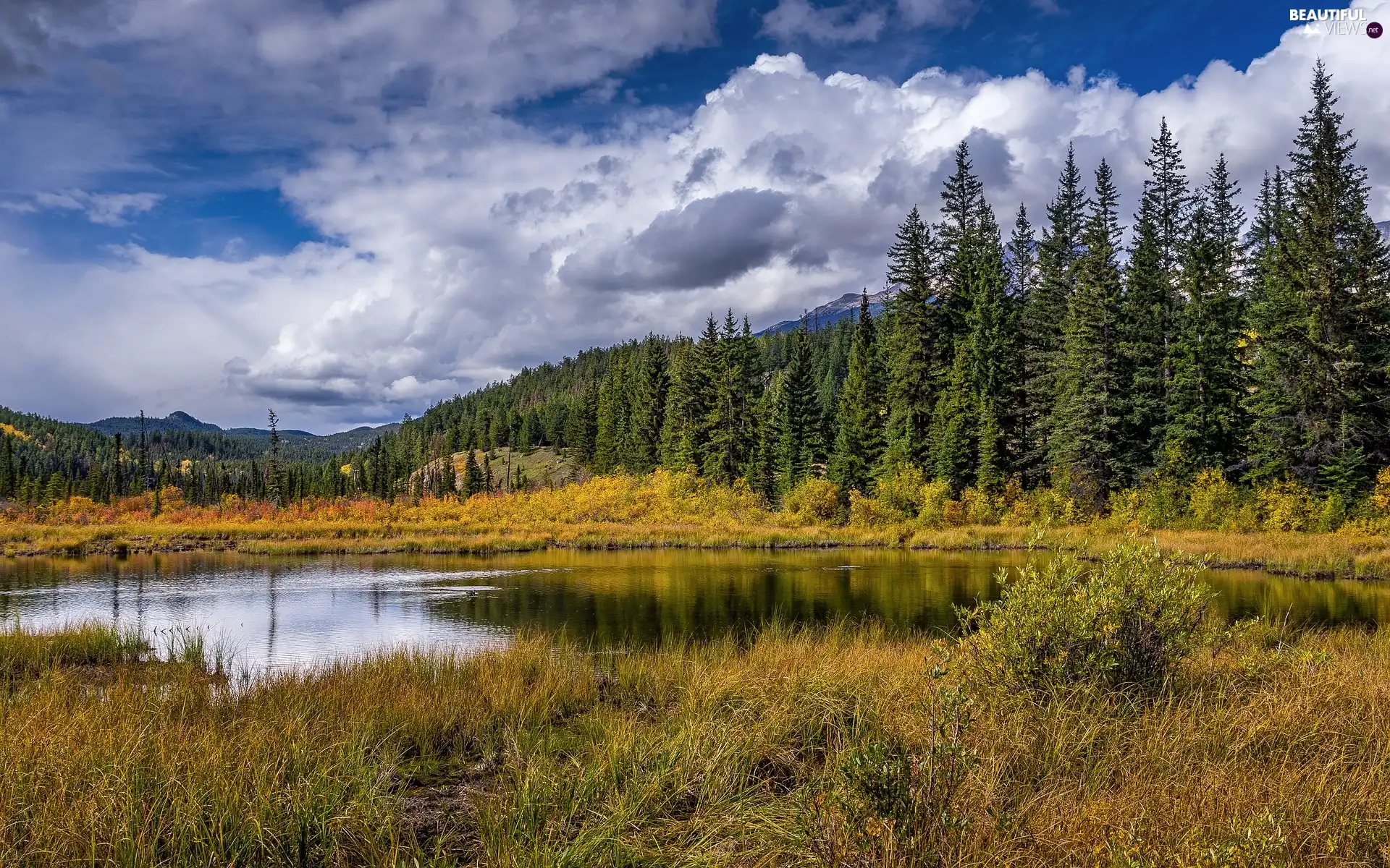 Spruces, lake, peaks, grass, clouds, Canada, Alberta, viewes, trees, Jasper National Park, Mountains