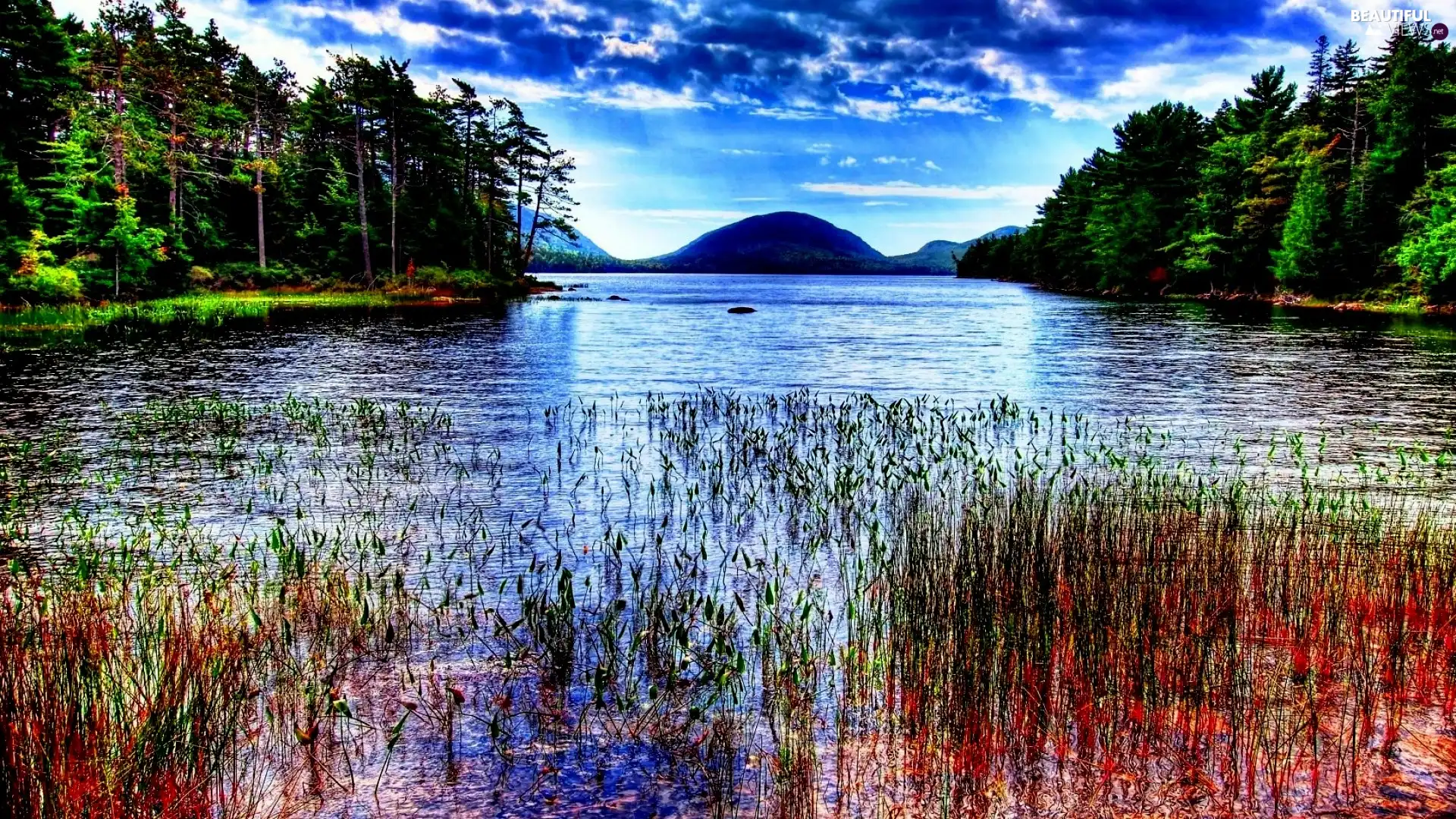 lake, color, grass, Mountains