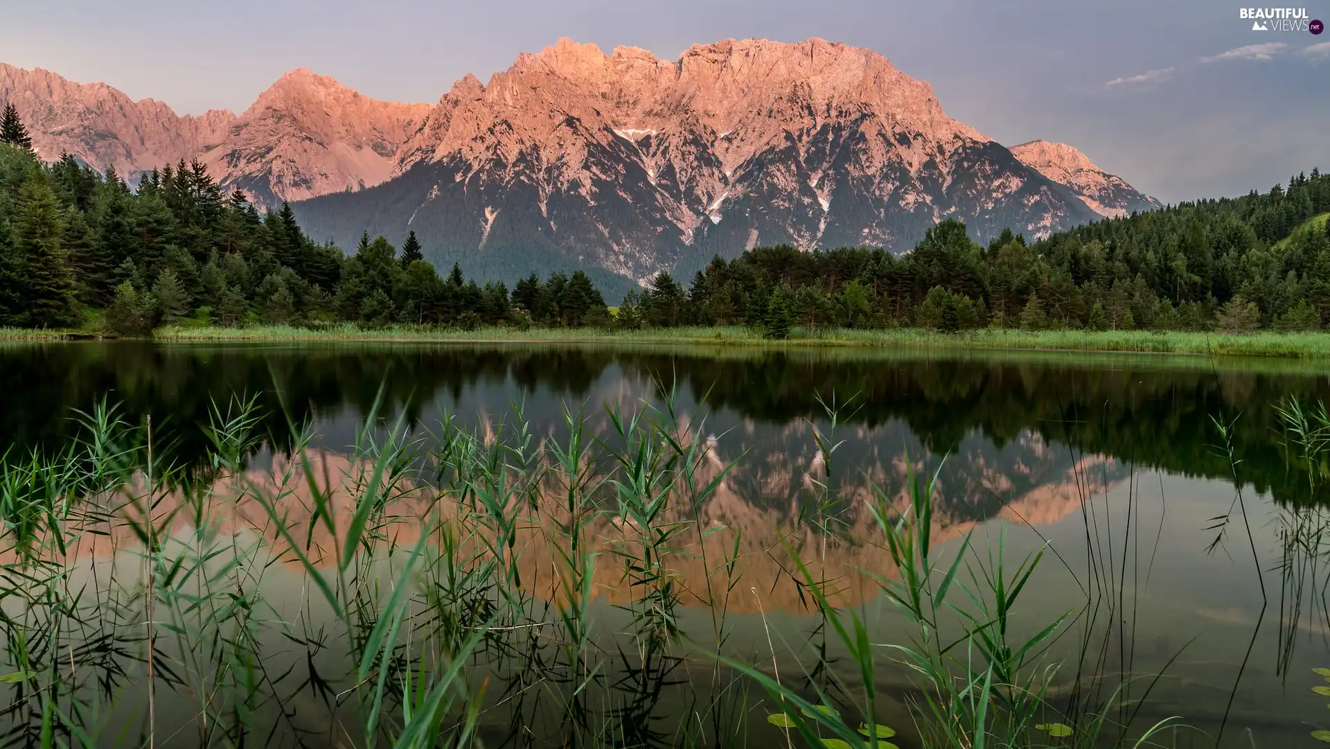viewes, grass, lake, trees, Mountains