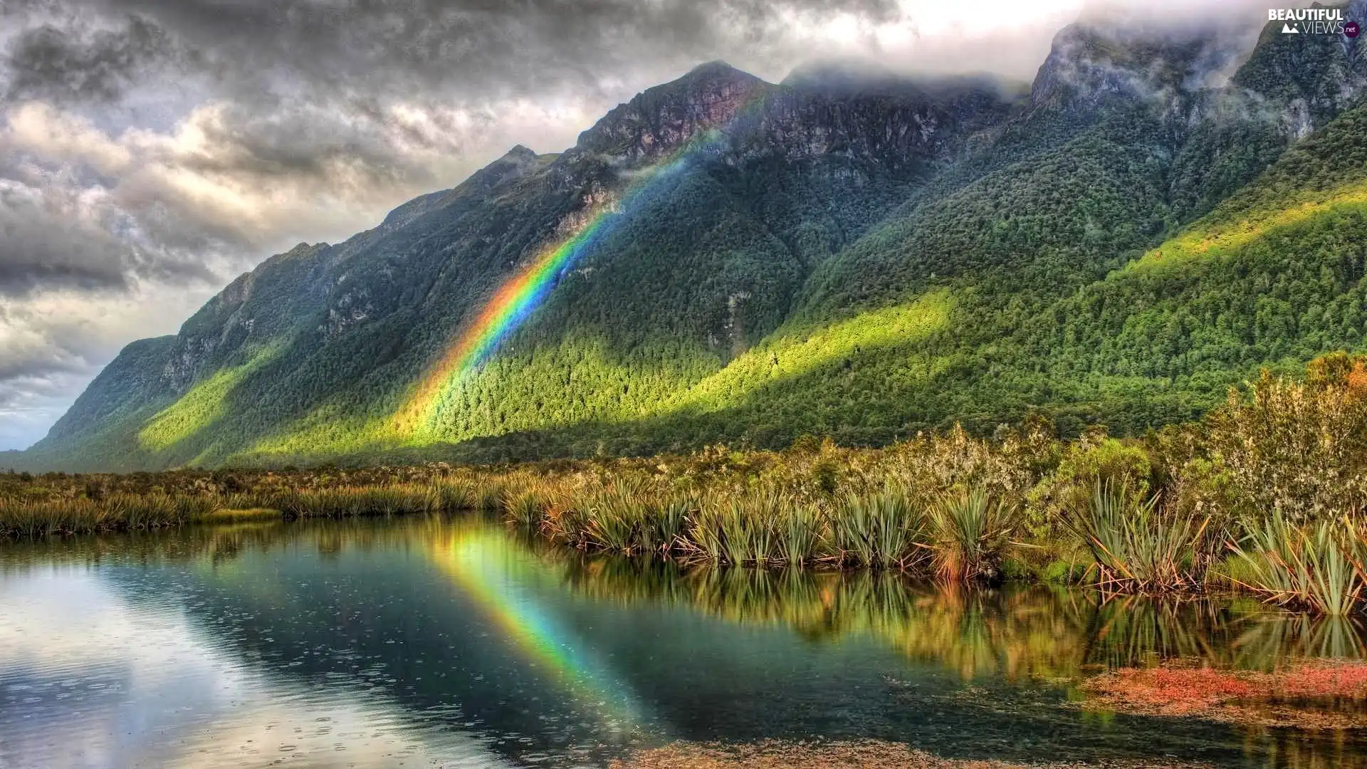 lake, Great Rainbows, grass, Mountains