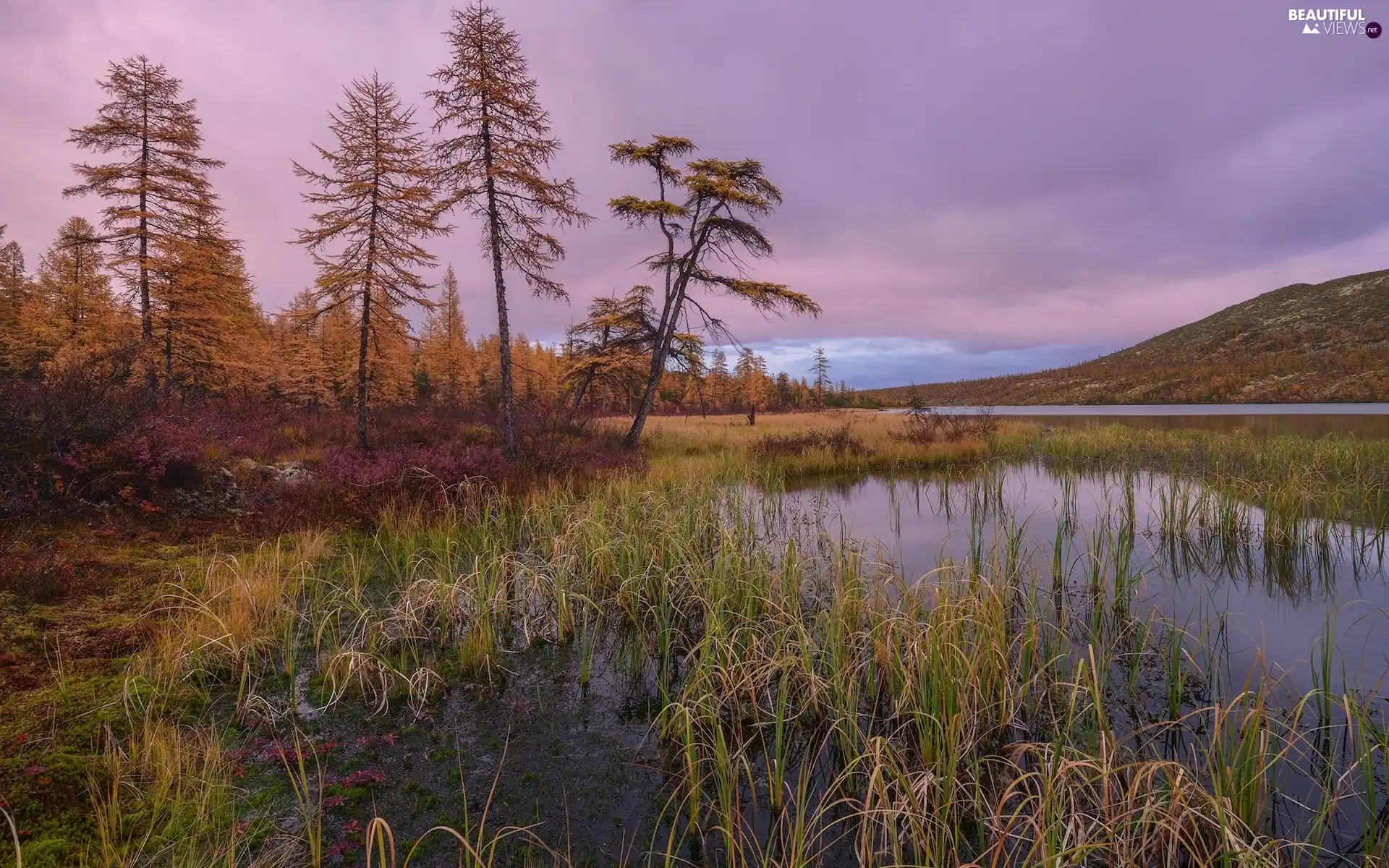 autumn, Mountains, viewes, grass, trees, lake