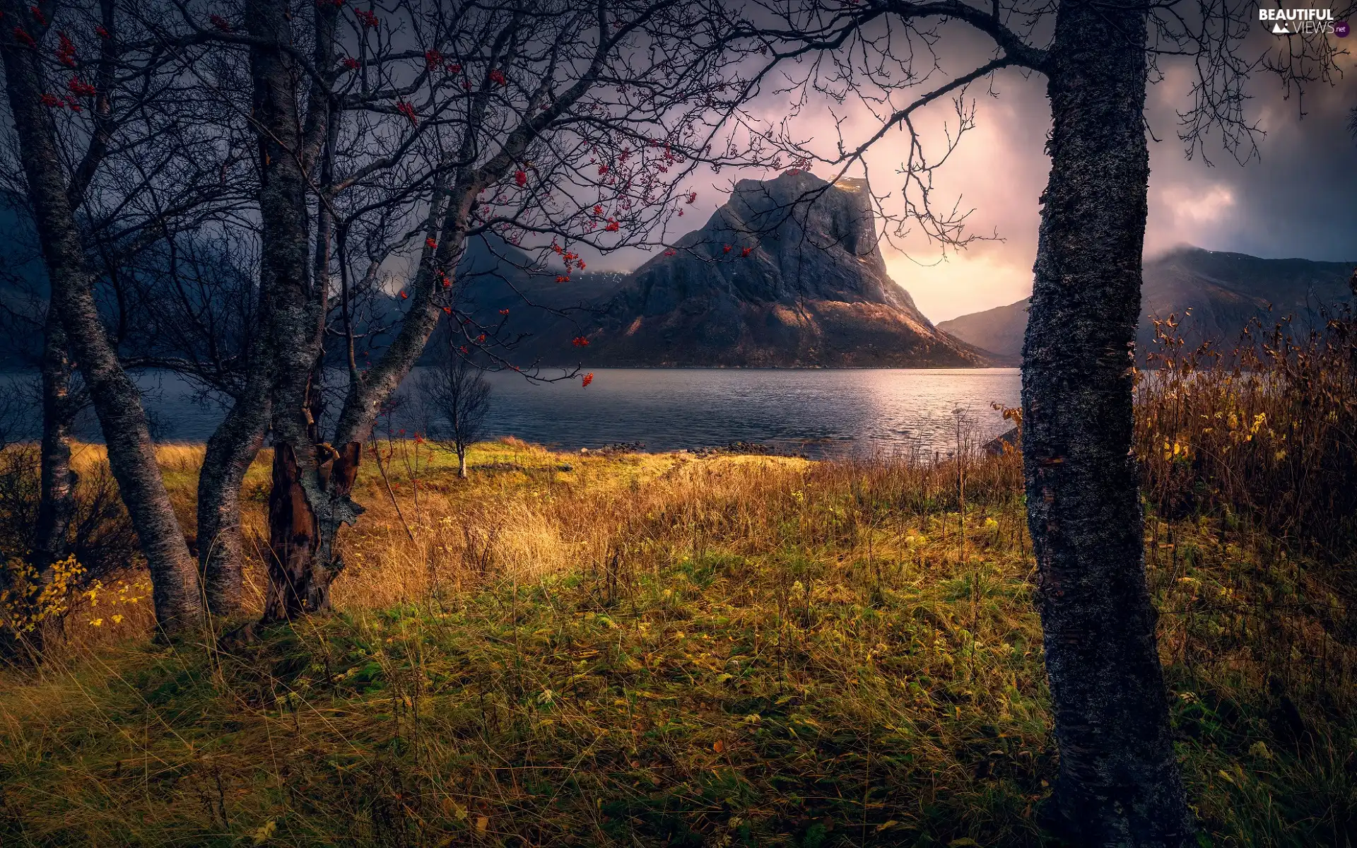 trees, Mountains, Yellowed, grass, viewes, lake