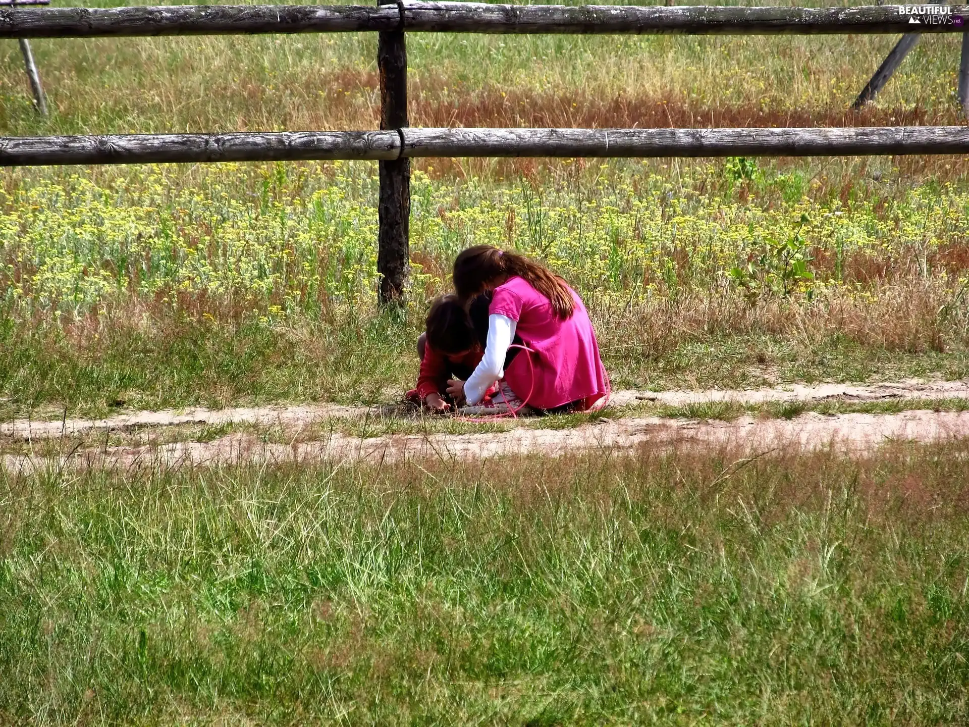 grass, Kids, Meadow