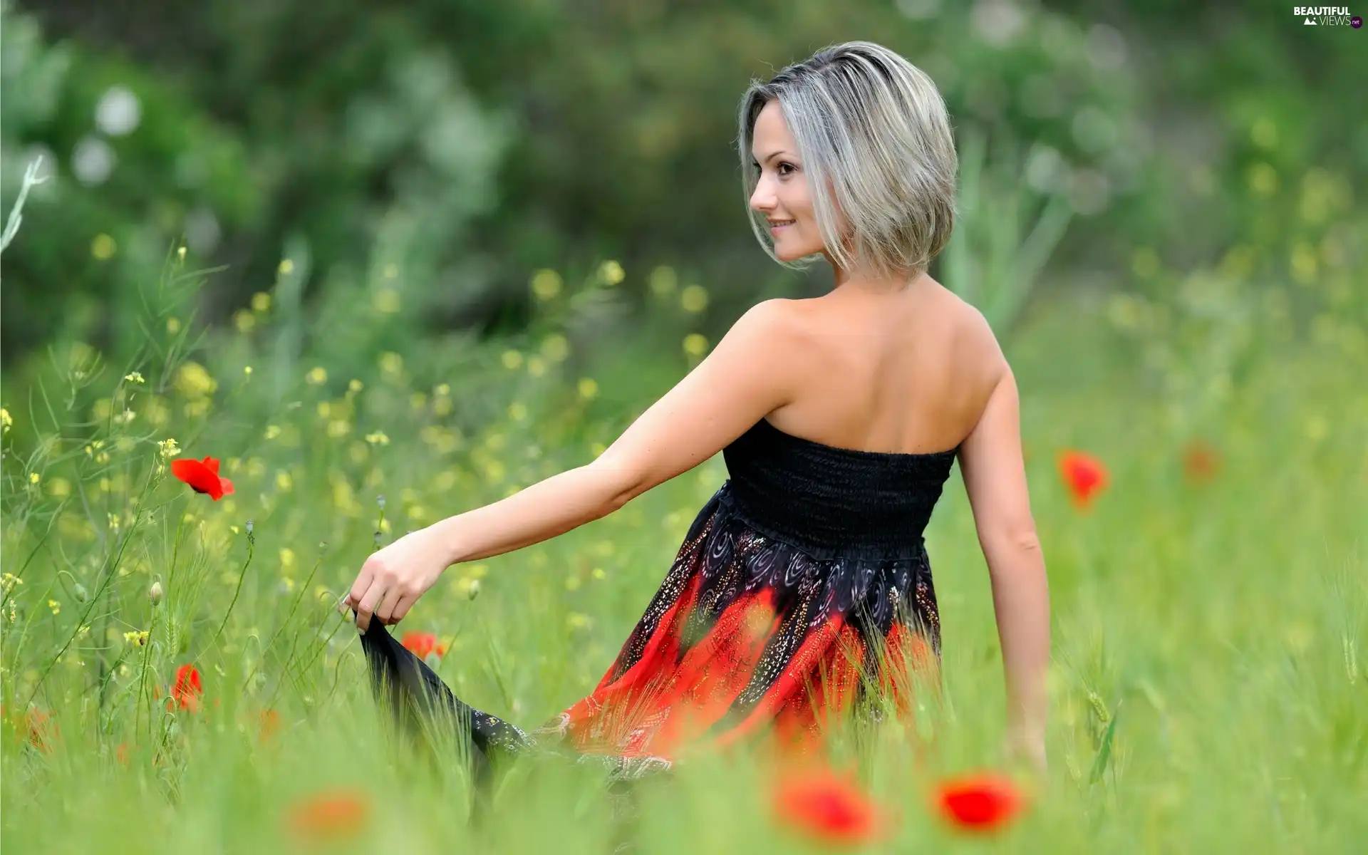 Meadow, papavers, grass, Women