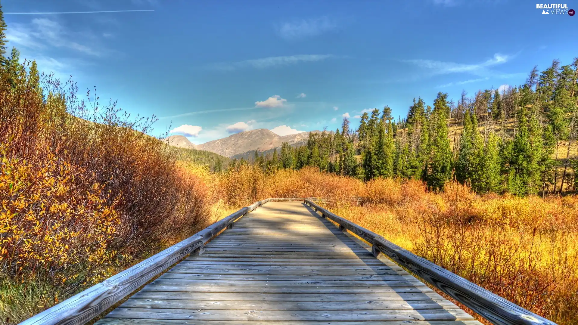 grass, Mountains, trees, viewes, bridges