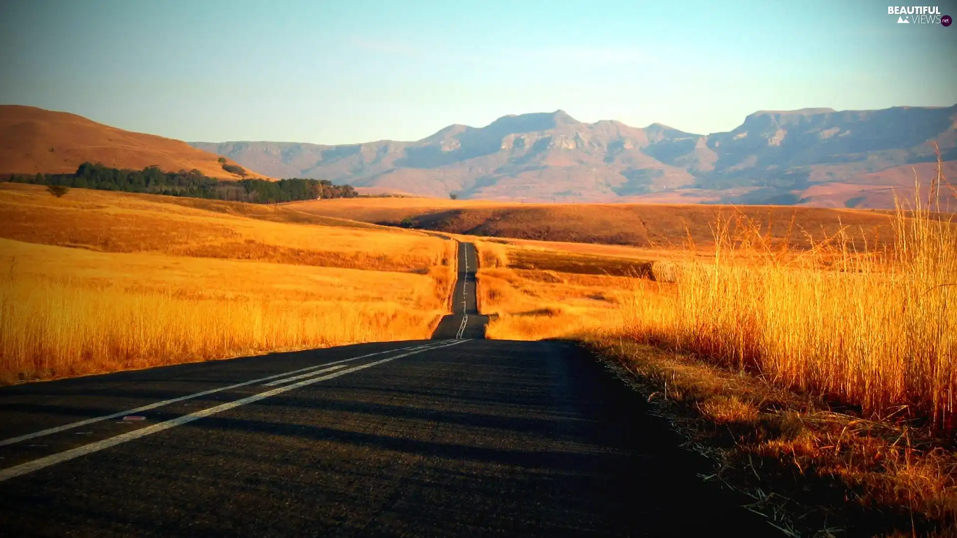 grass, Way, Mountains