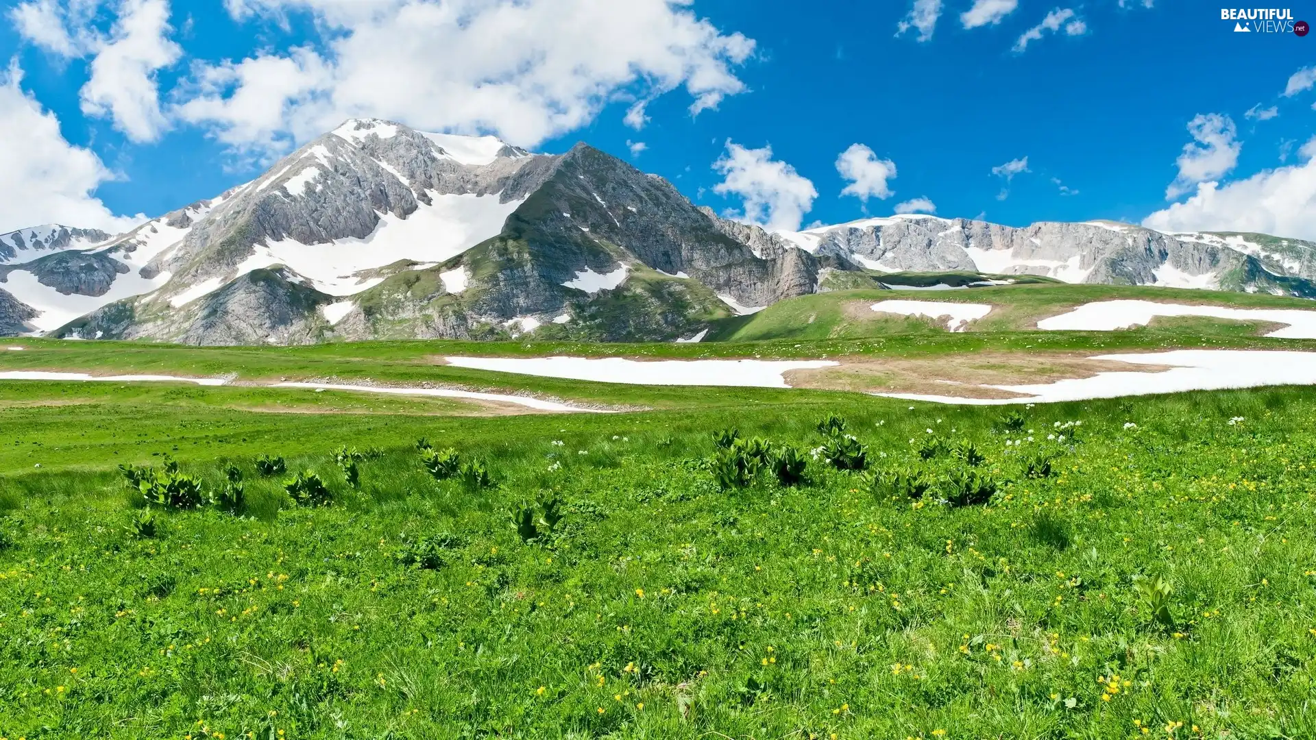 Mountains, grass