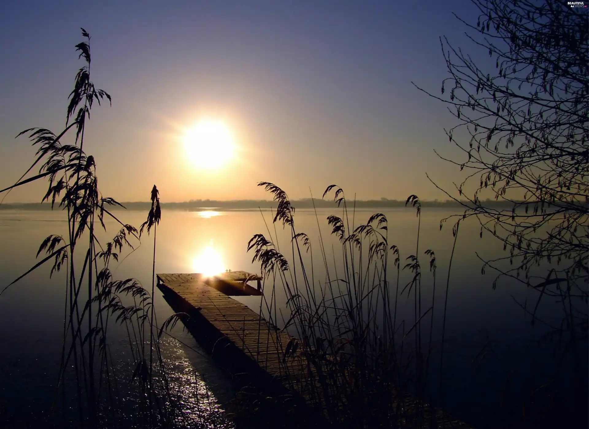 grass, Platform, west, sun, lake