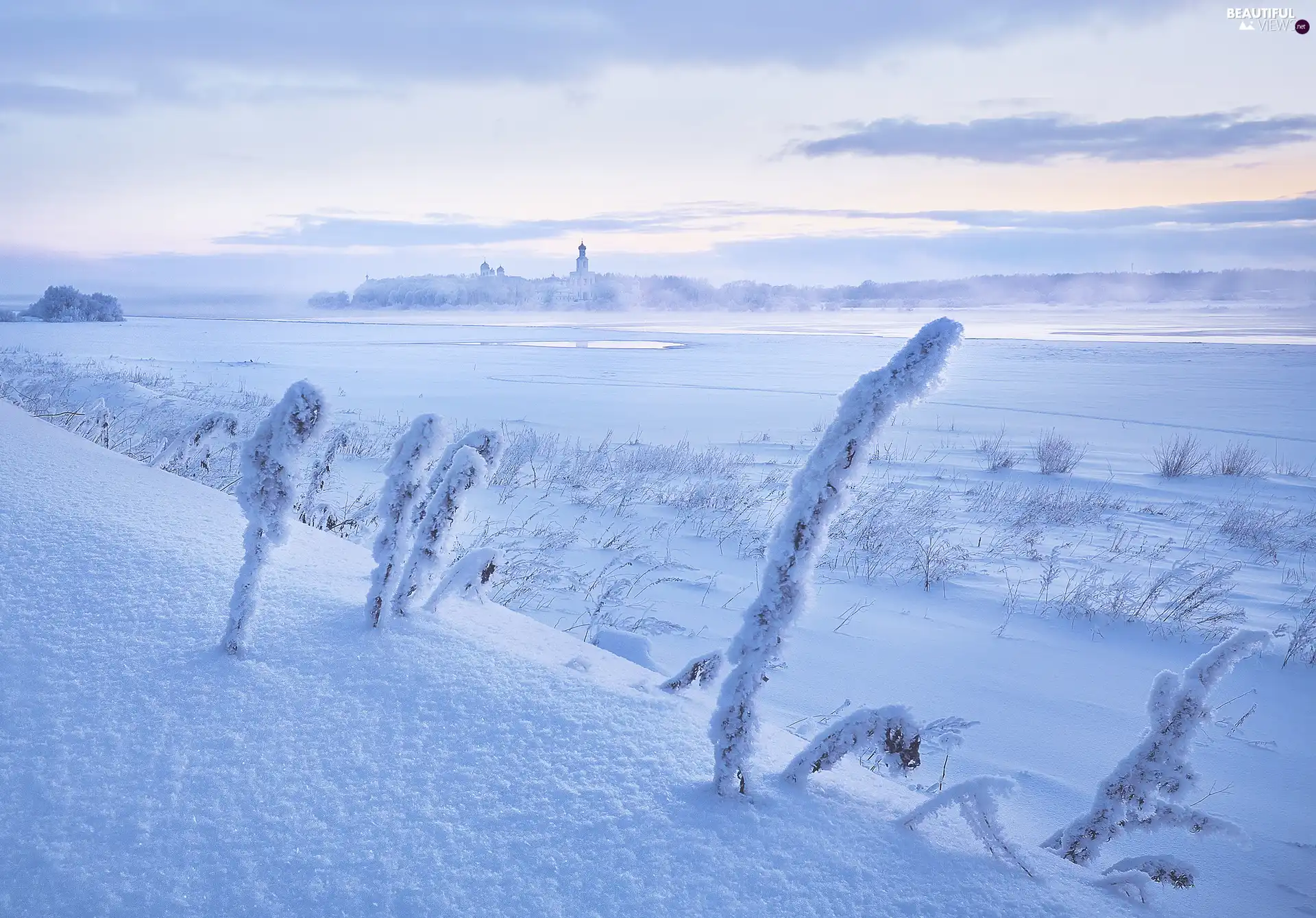 Plants, snow, River, grass, winter, snowy, Cerkiew