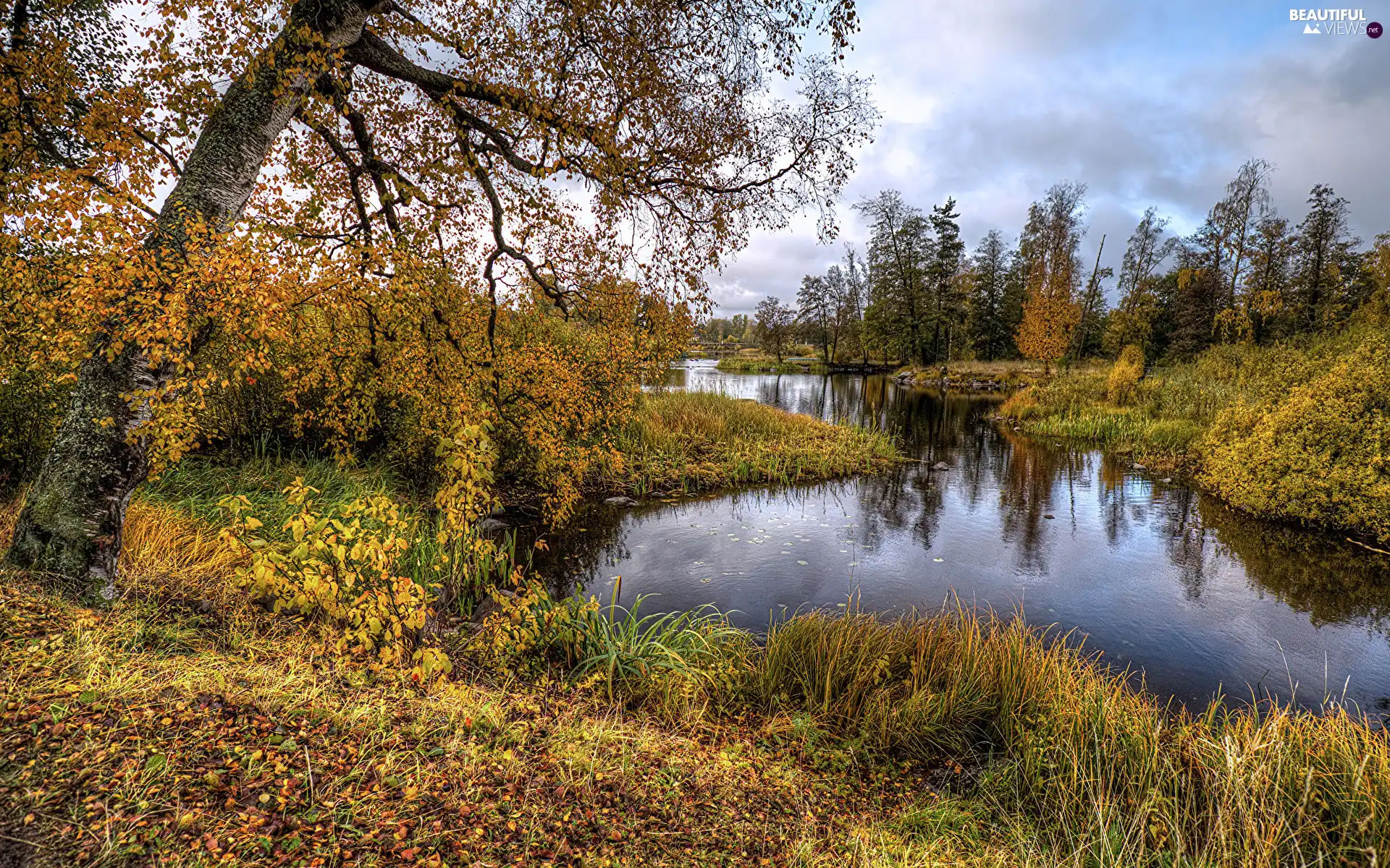 Yellowed, autumn, viewes, grass, trees, River