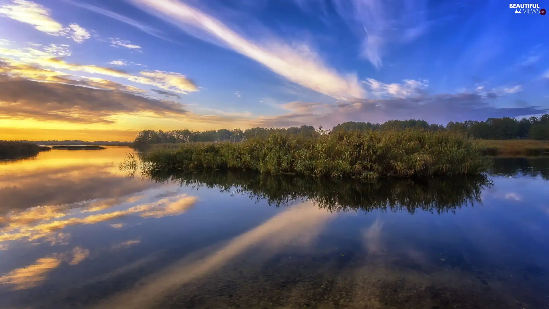 clouds, Voronezh River, Chertovitsy City, Russia, Sunrise, grass