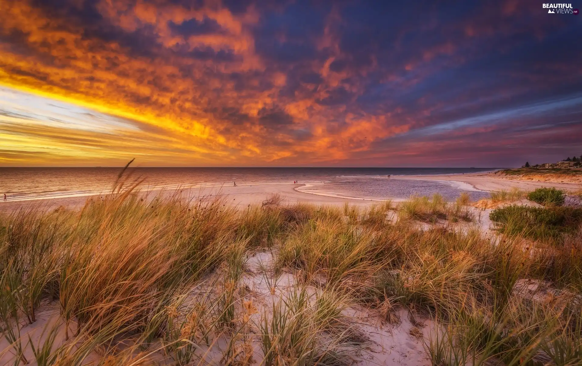 grass, Great Sunsets, Beaches, Dunes, sea