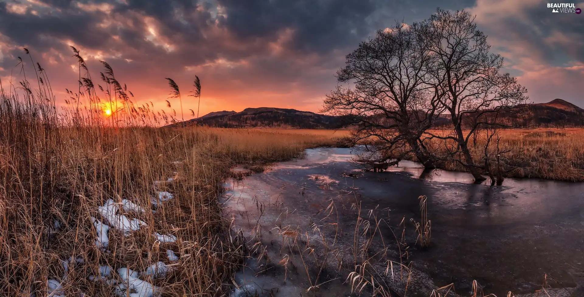 grass, River, viewes, The Hills, trees, Great Sunsets