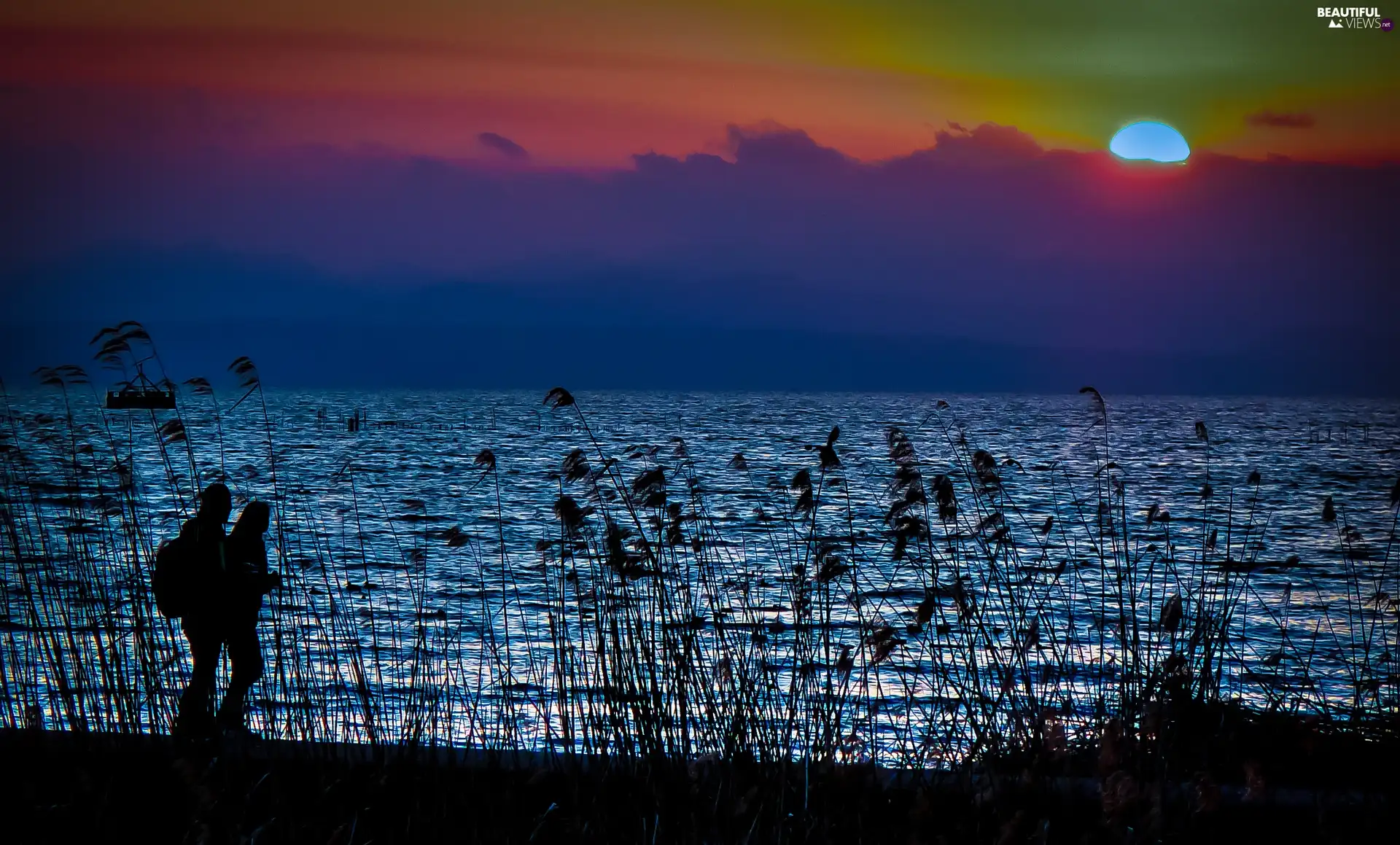 grass, Great Sunsets, lake, Steam, wander