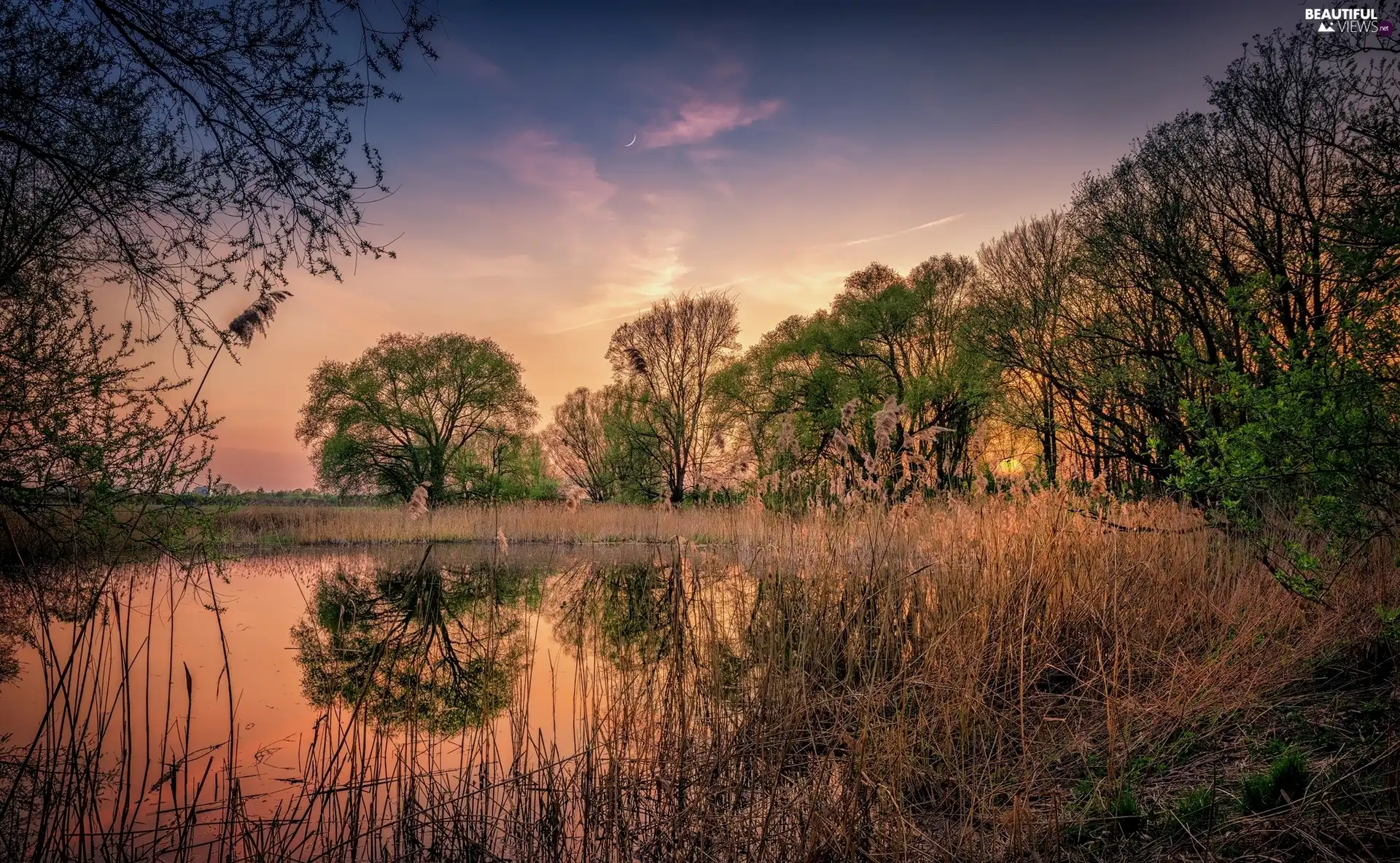 viewes, lake, high, grass, twilight, trees