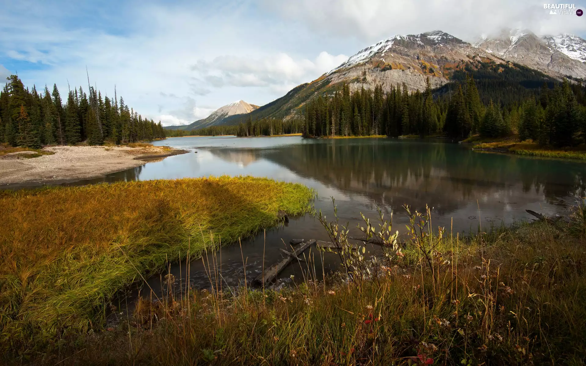 lake, grass, trees, viewes, Mountains