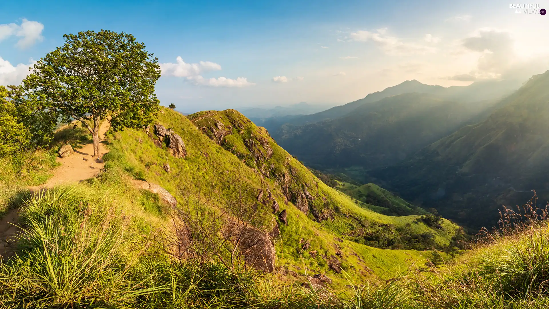 viewes, grass, Valley, trees, Mountains