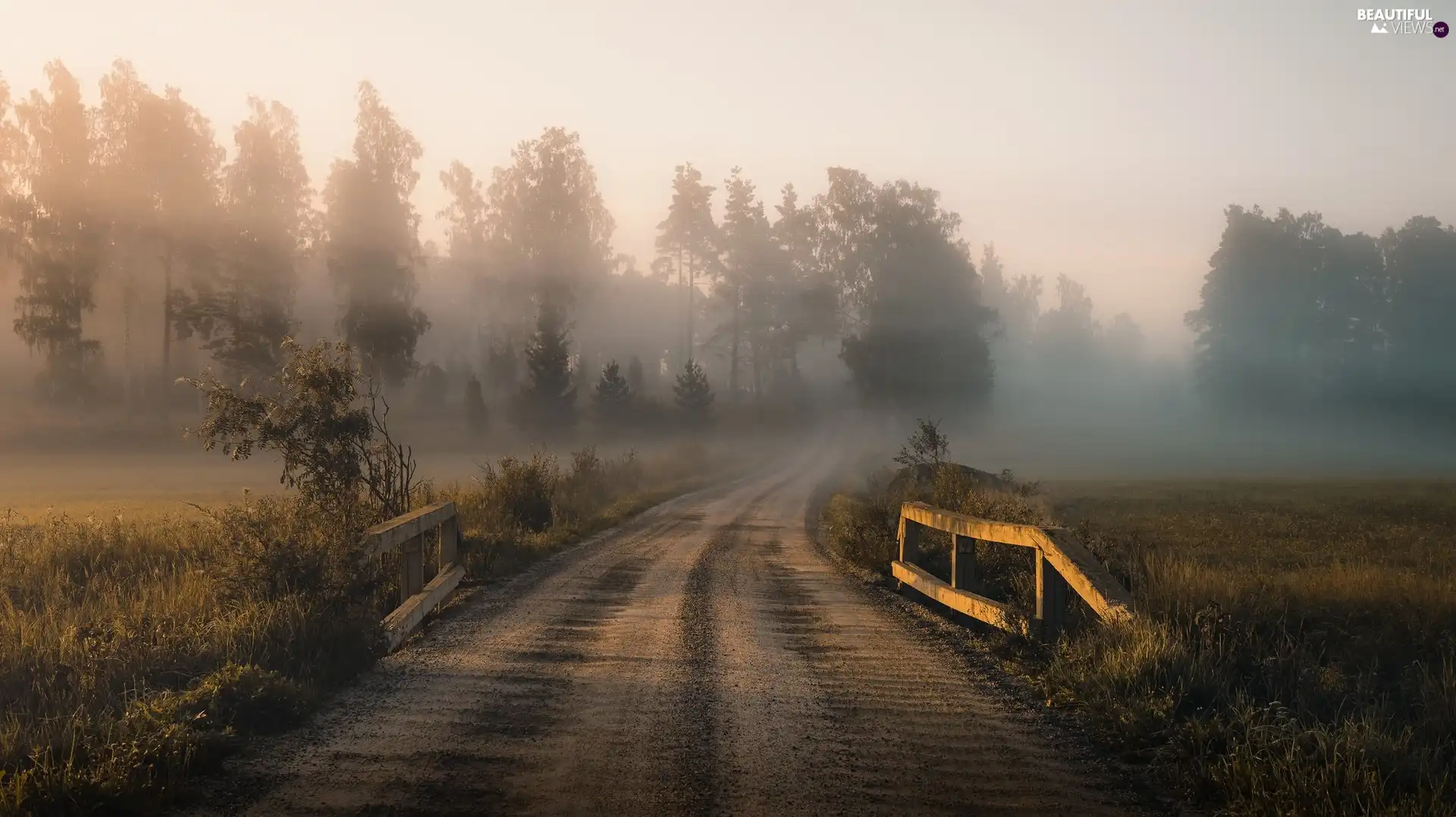 bridges, Fog, viewes, grass, trees, Way