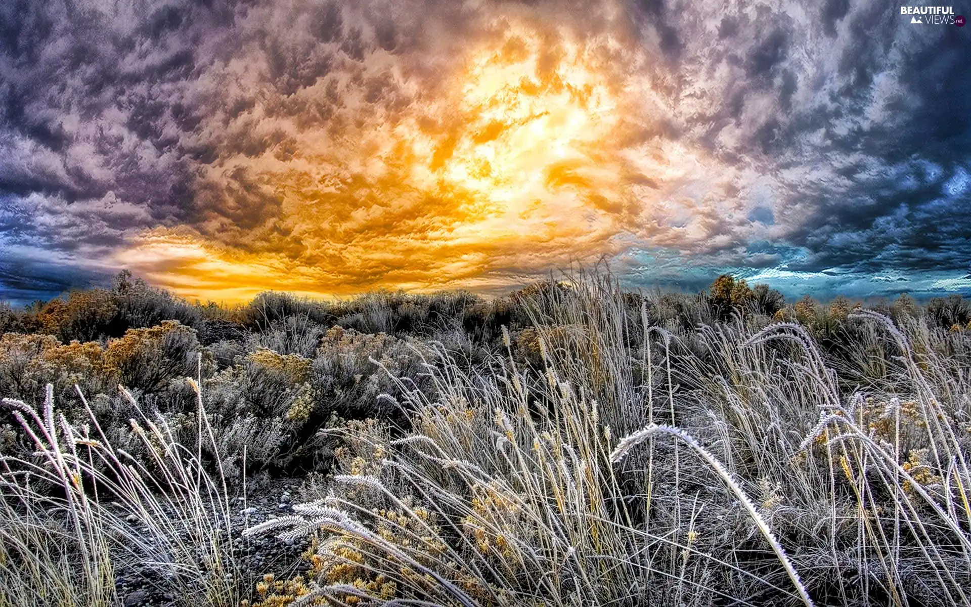 west, clouds, grass, sun