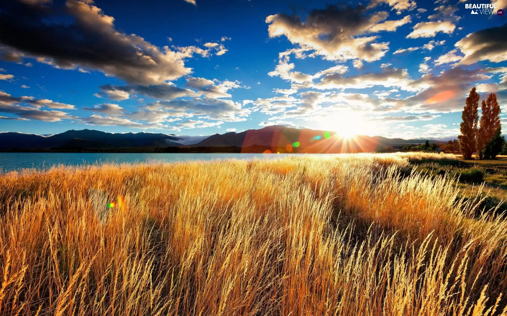 west, rays, grass, sun