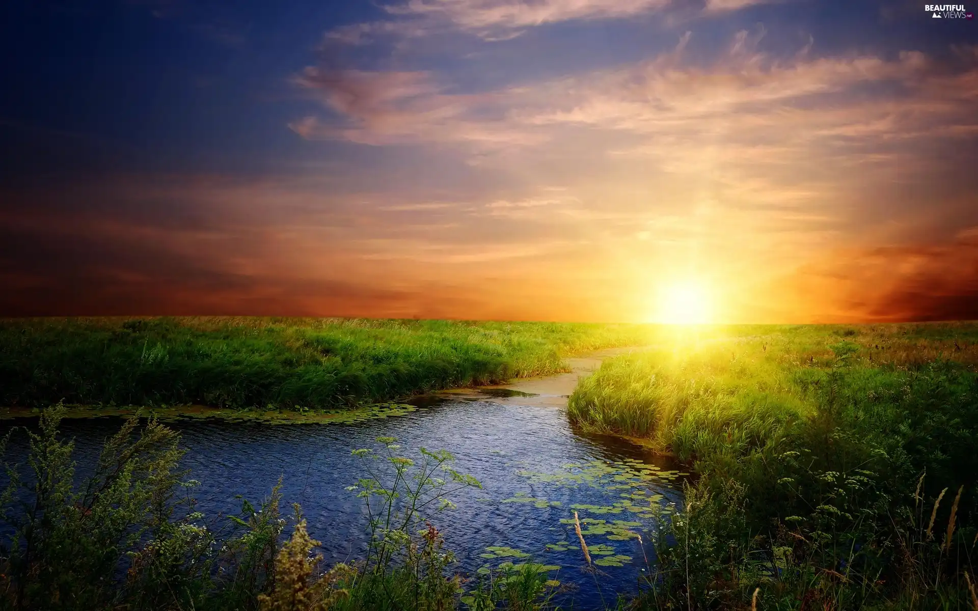 west, River, grass, sun