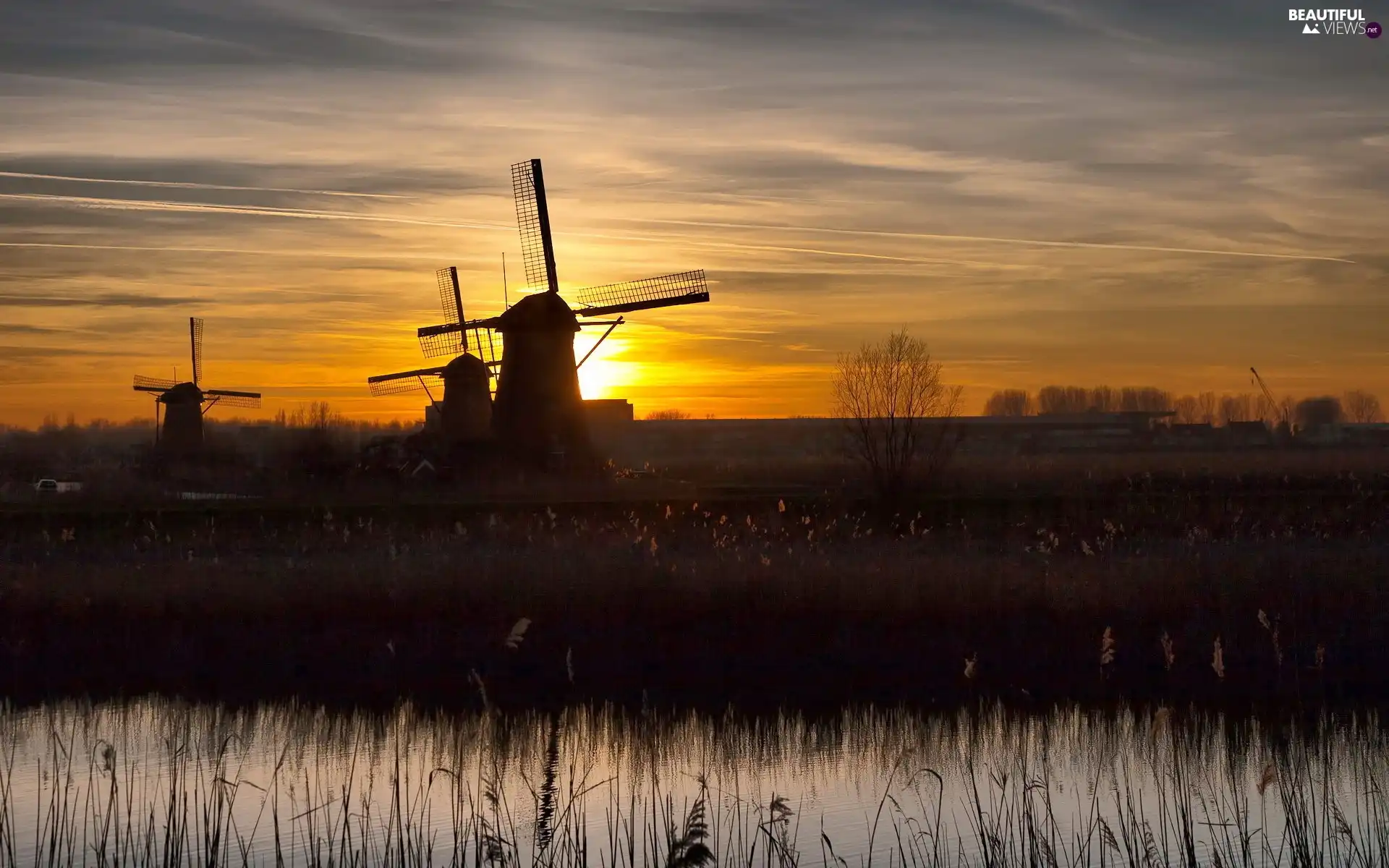 Windmills, sun, grass, west