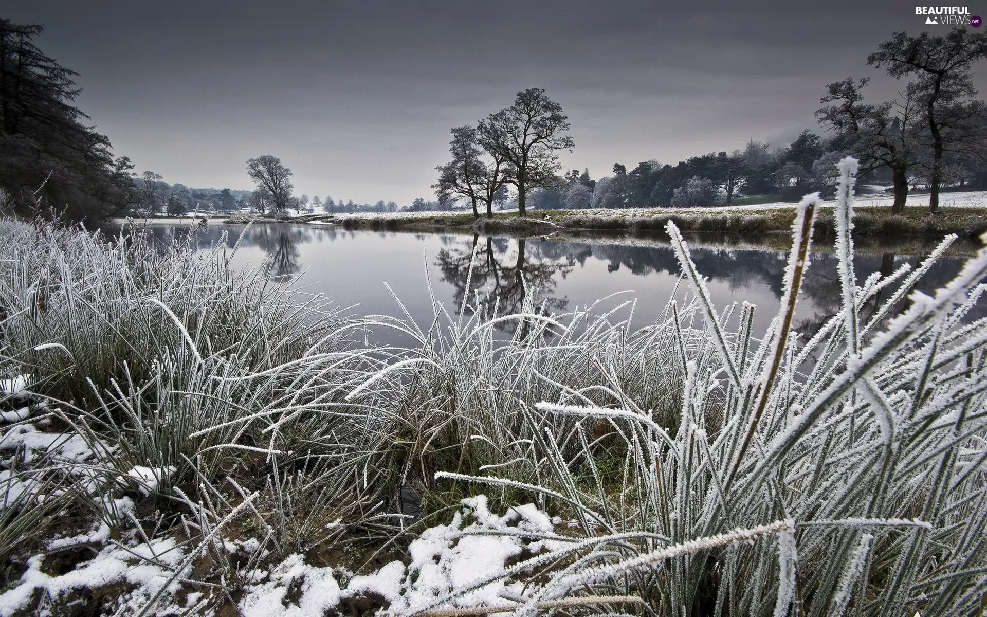 grass, winter, trees, viewes, River