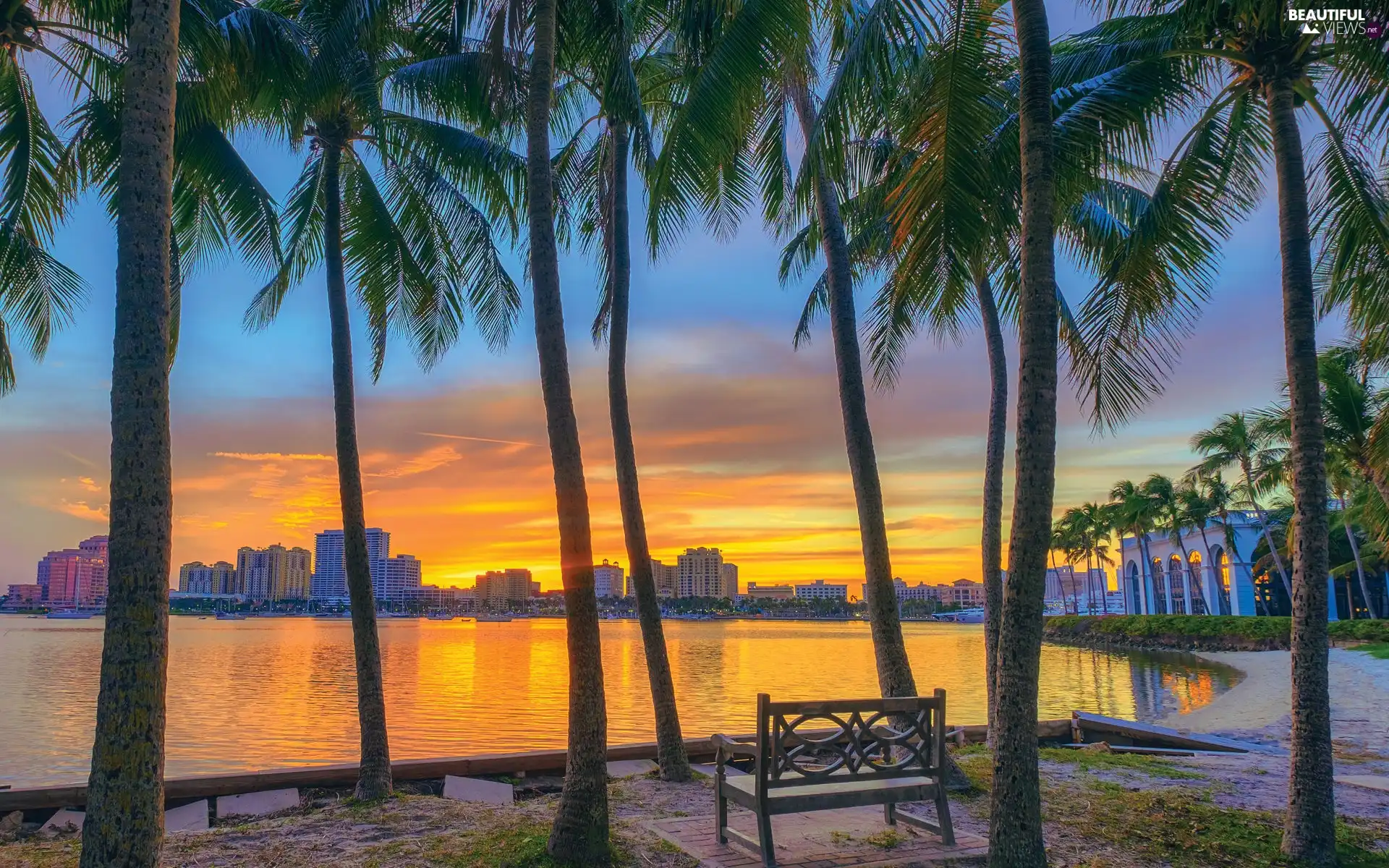 Palms, sea, buildings, Great Sunsets, Bench, Gulf