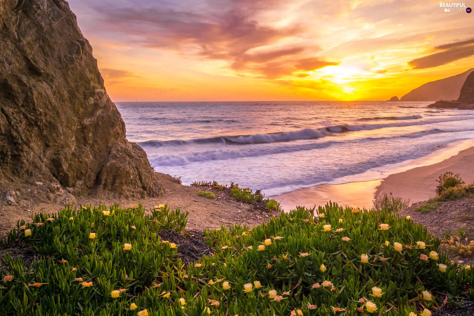 Flowers, sea, clouds, Great Sunsets, Coast, rocks