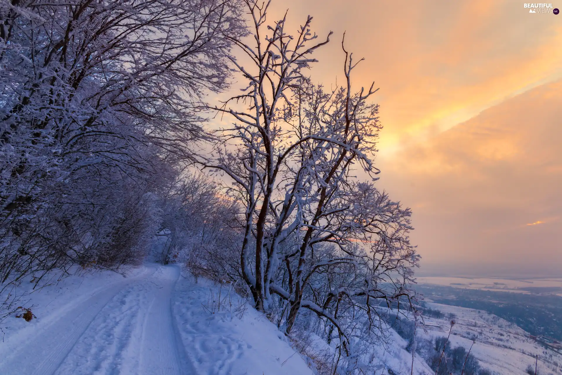 trees, winter, forest, Great Sunsets, viewes, Way