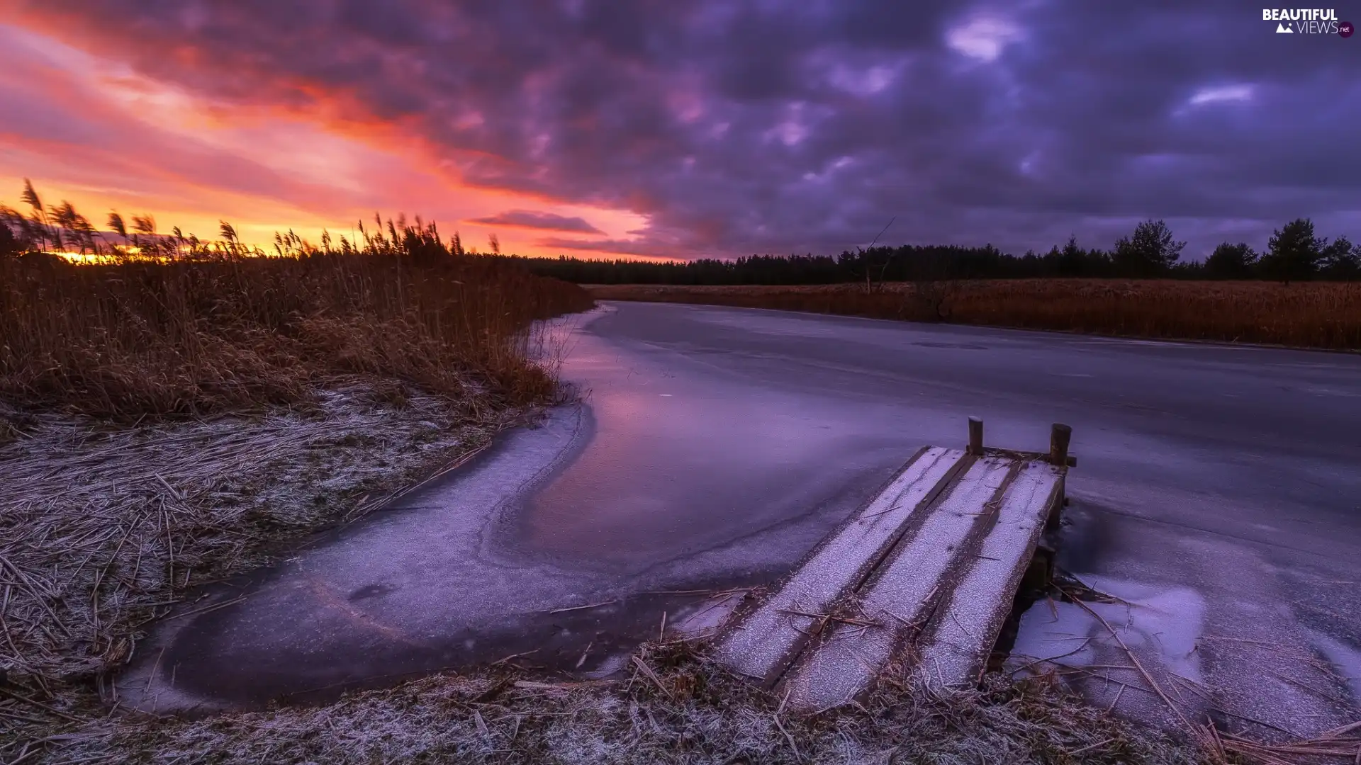 frosted, River, grass, Great Sunsets, Platform, winter