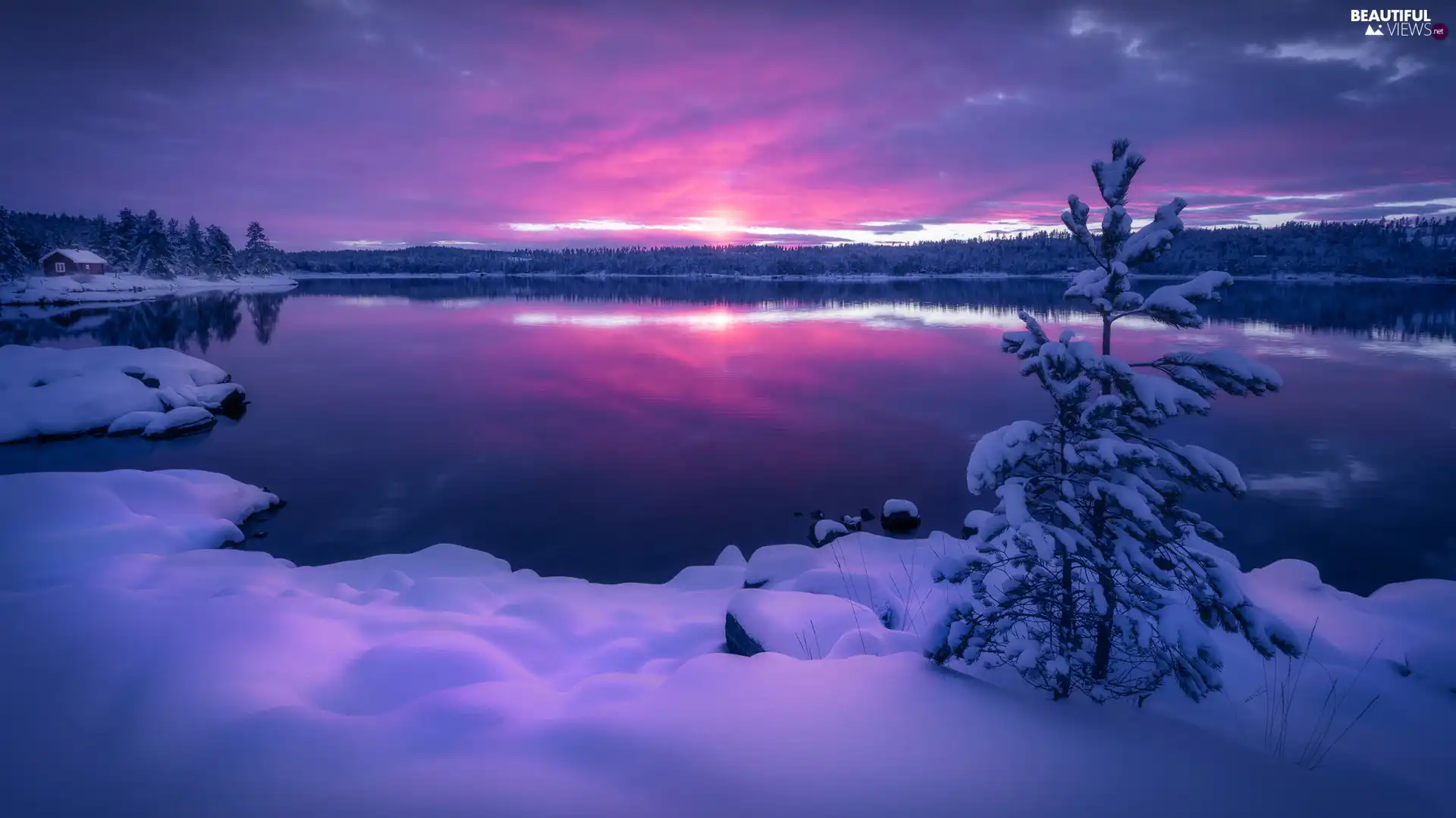 trees, winter, house, Great Sunsets, viewes, lake