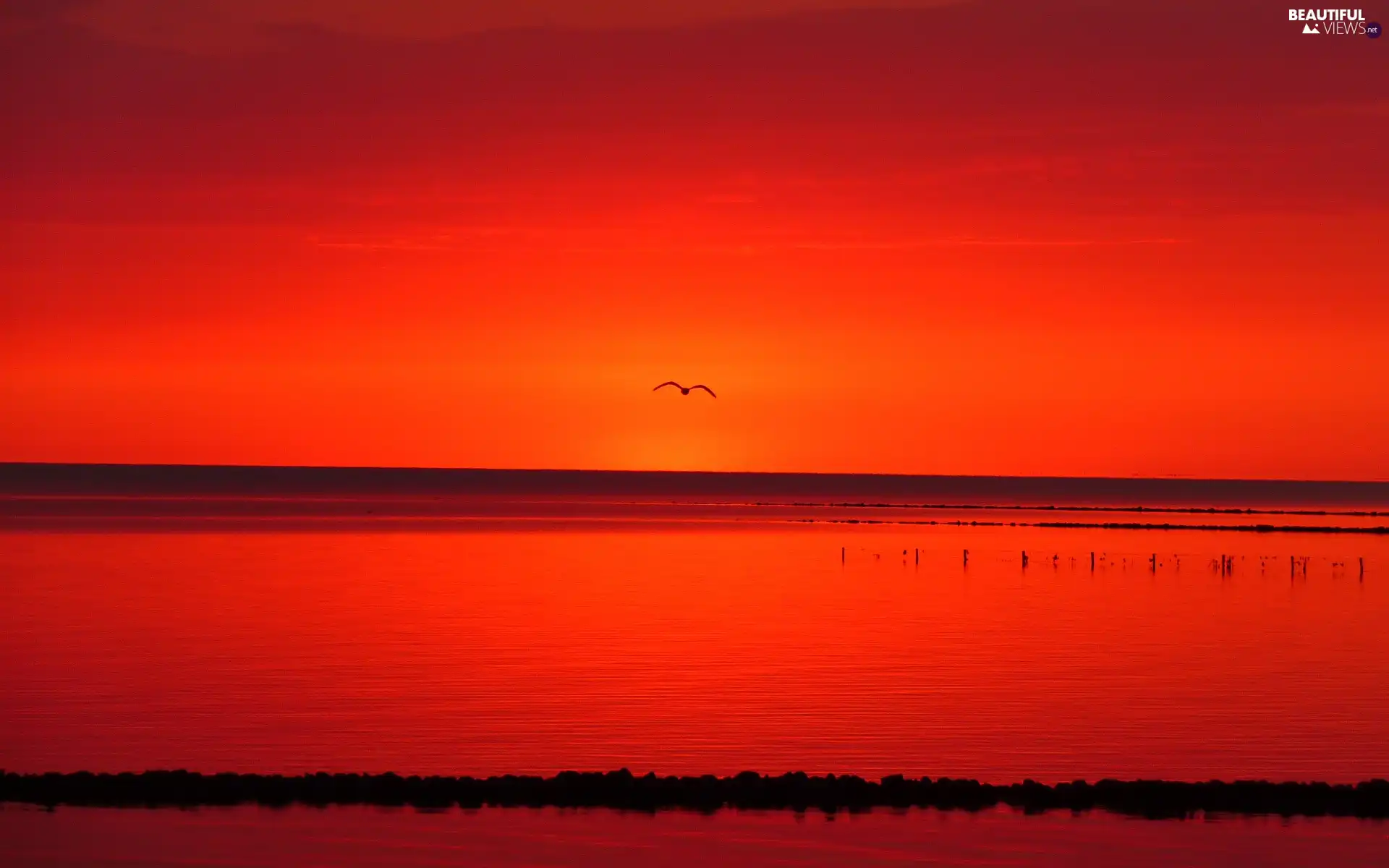 lake, Red, Great Sunsets