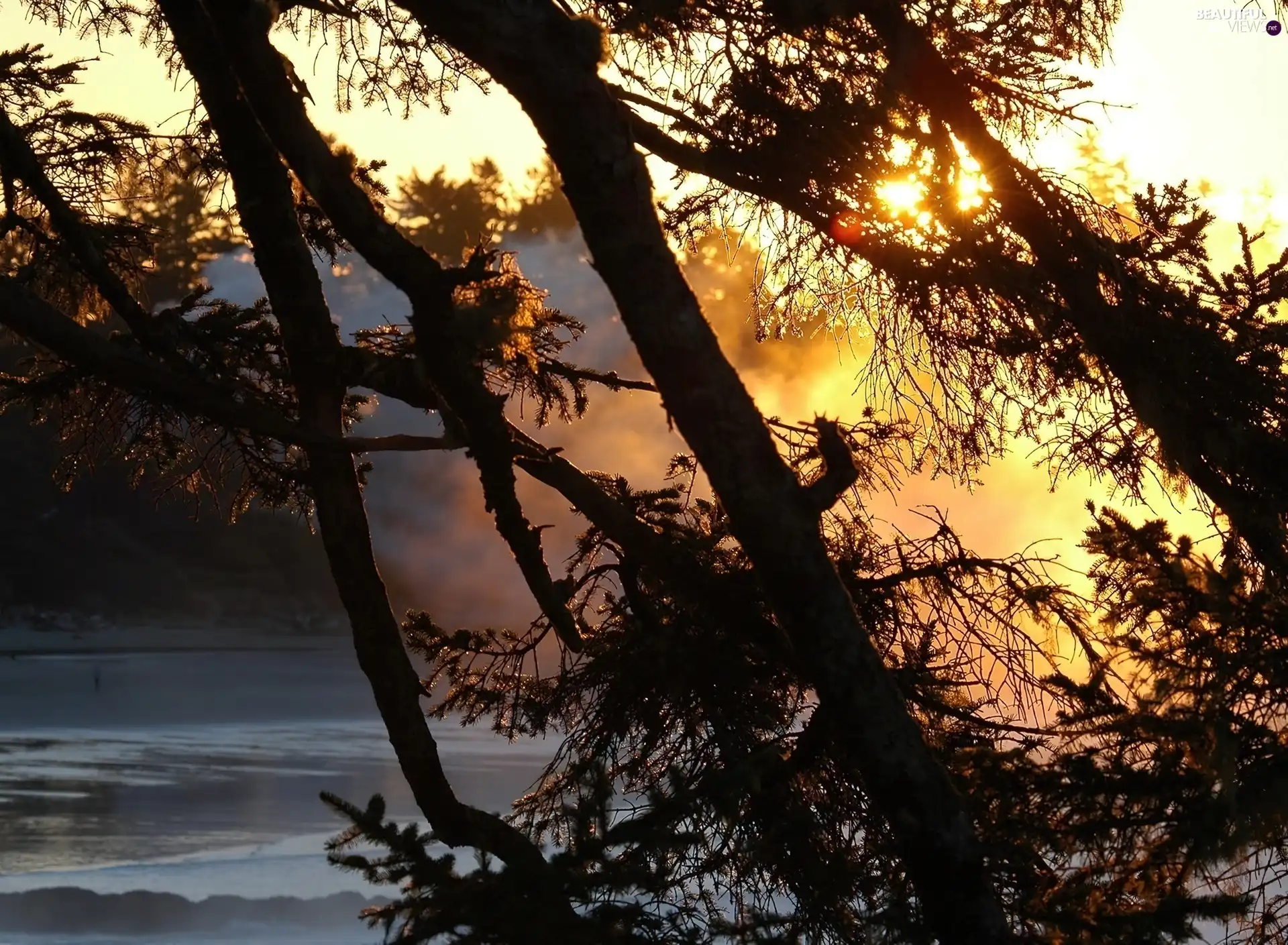 lake, viewes, Great Sunsets, trees