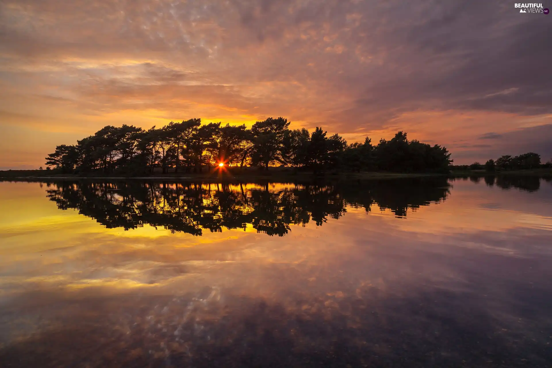 lake, viewes, Great Sunsets, trees