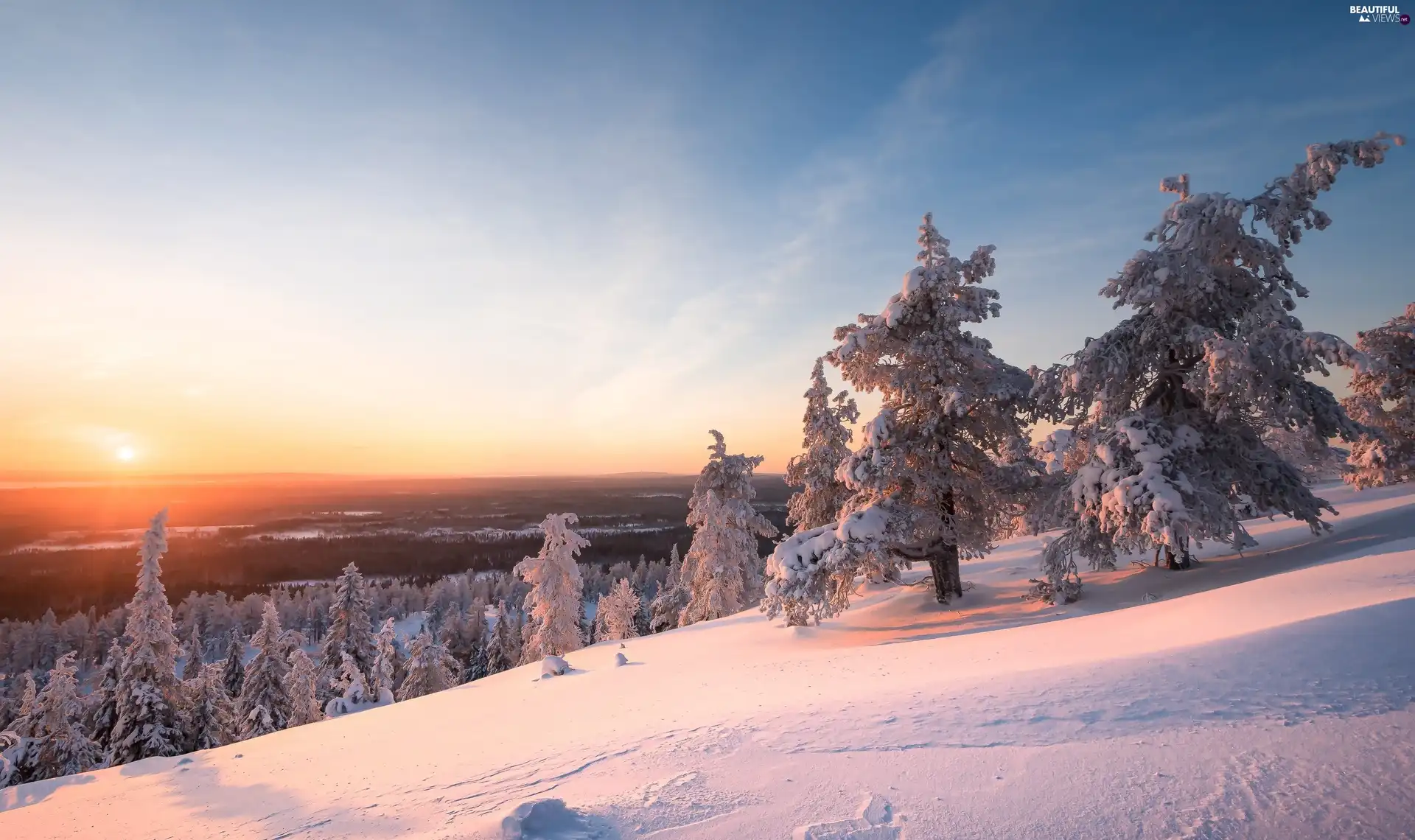 Great Sunsets, trees, Lapland, viewes, winter, Riisitunturi National Park, Finland