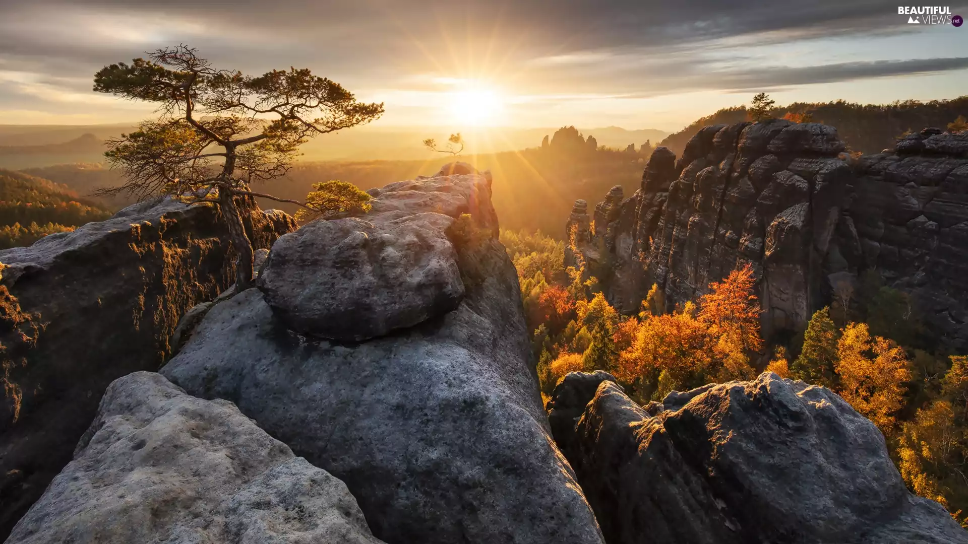 woods, rocks, pine, Děčínská vrchovina, Saxon Switzerland National Park, Great Sunsets, Germany