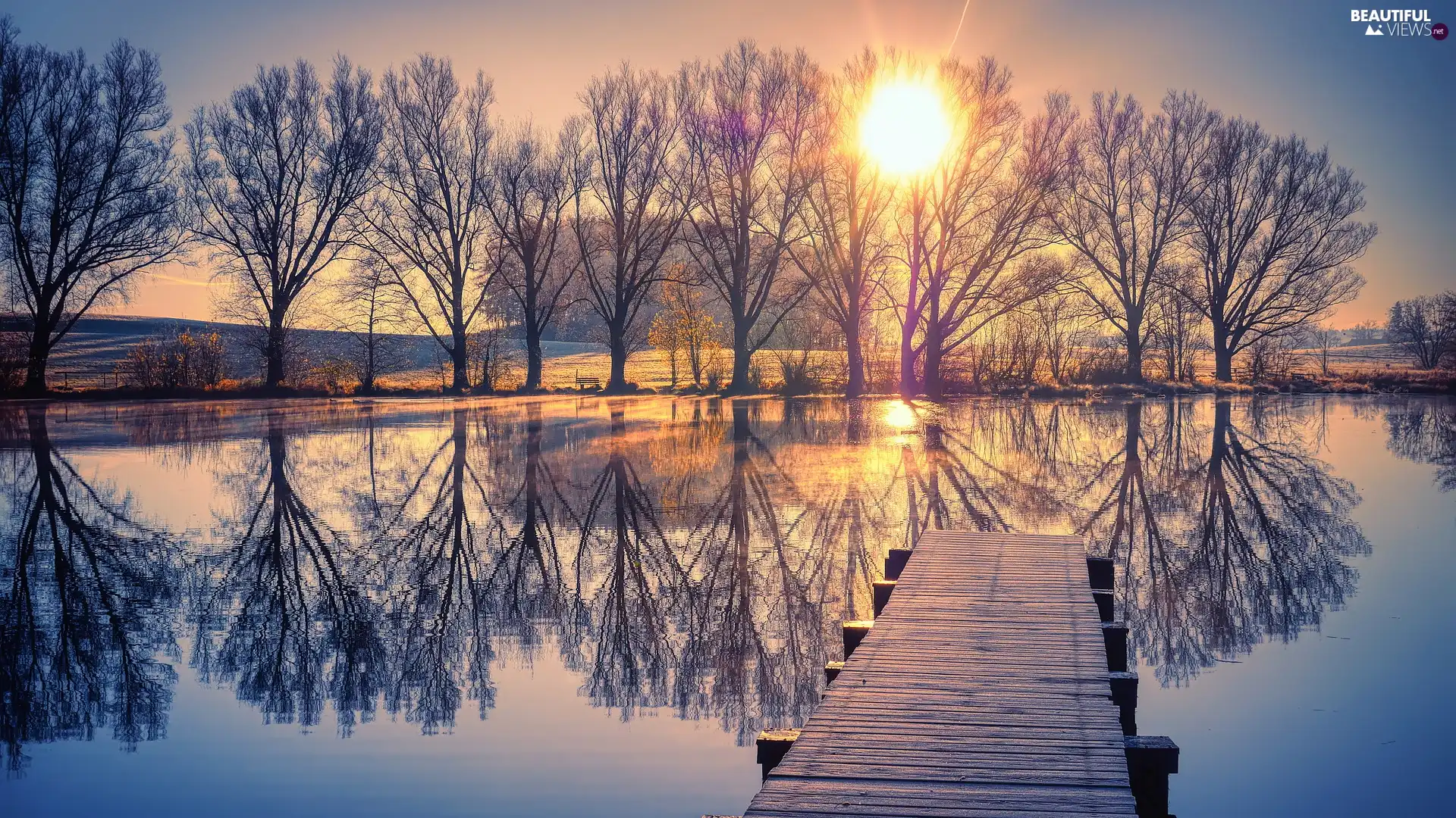 trees, lake, Platform, Great Sunsets, viewes, reflection