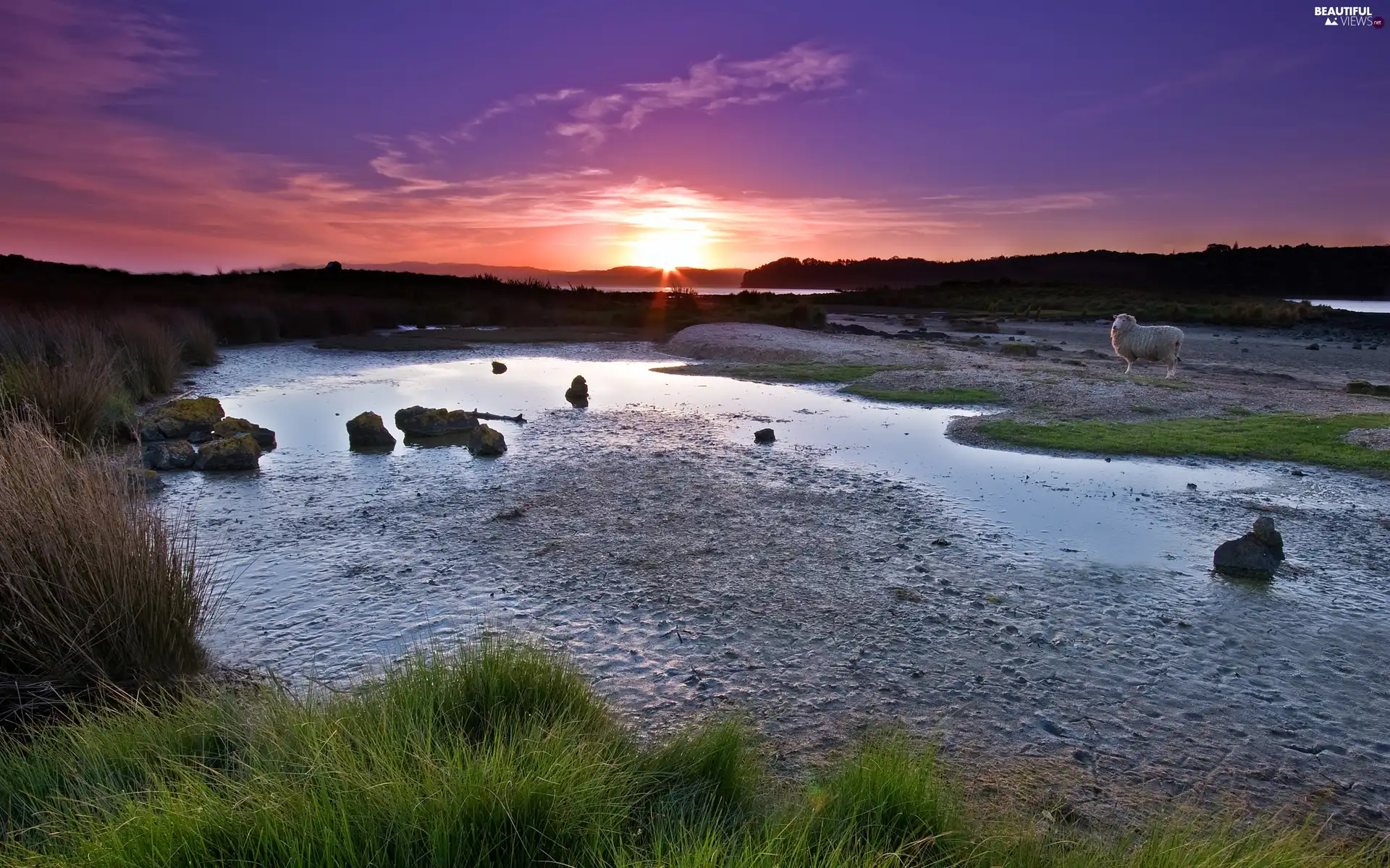 River, grass, Great Sunsets, Stones