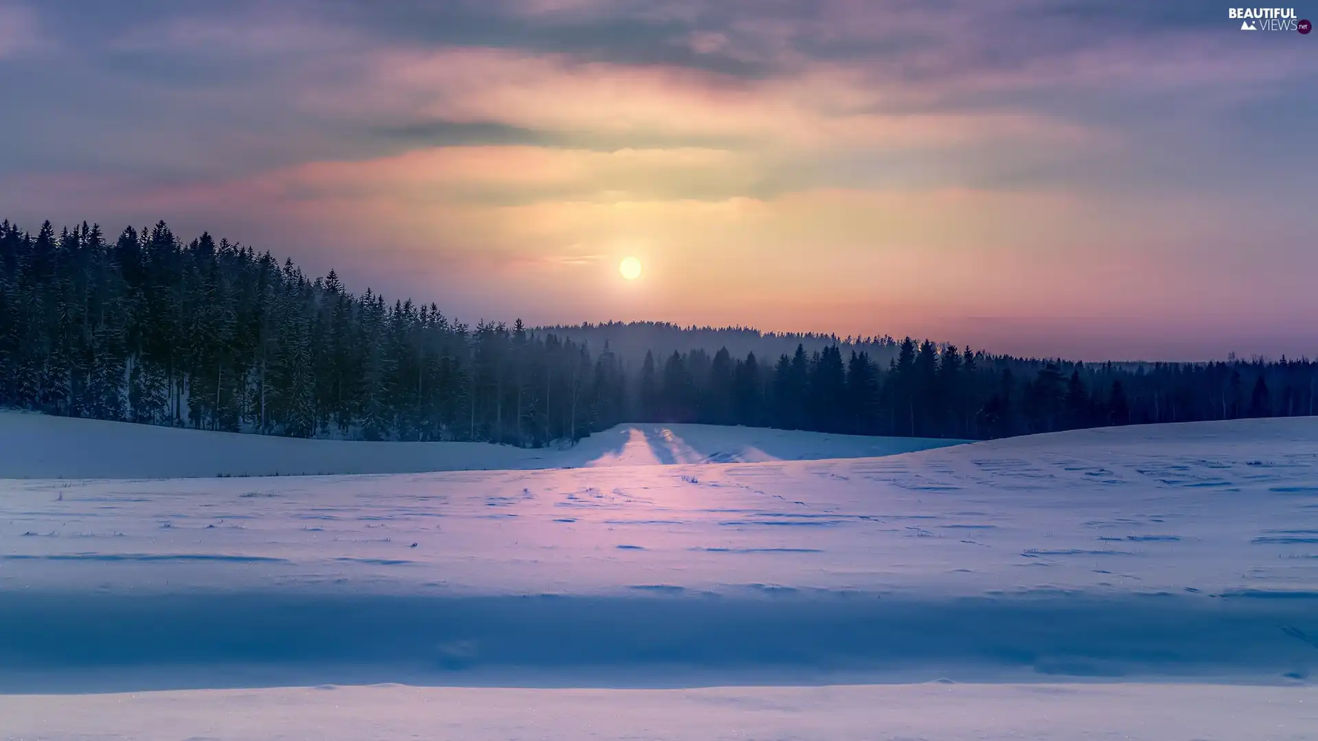 viewes, winter, snow, Great Sunsets, forest, trees