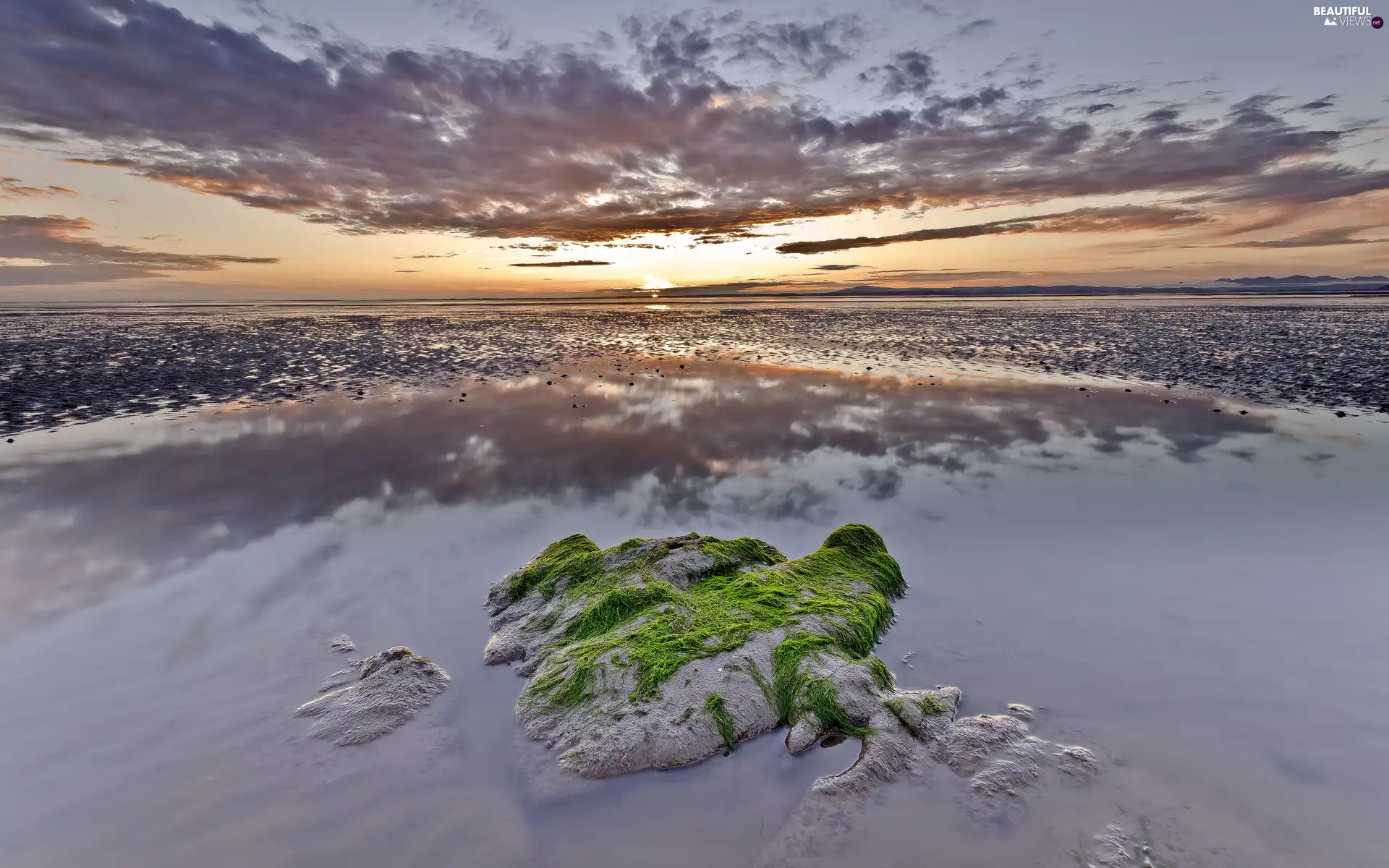 sea, Great Sunsets, seaweed, Beaches