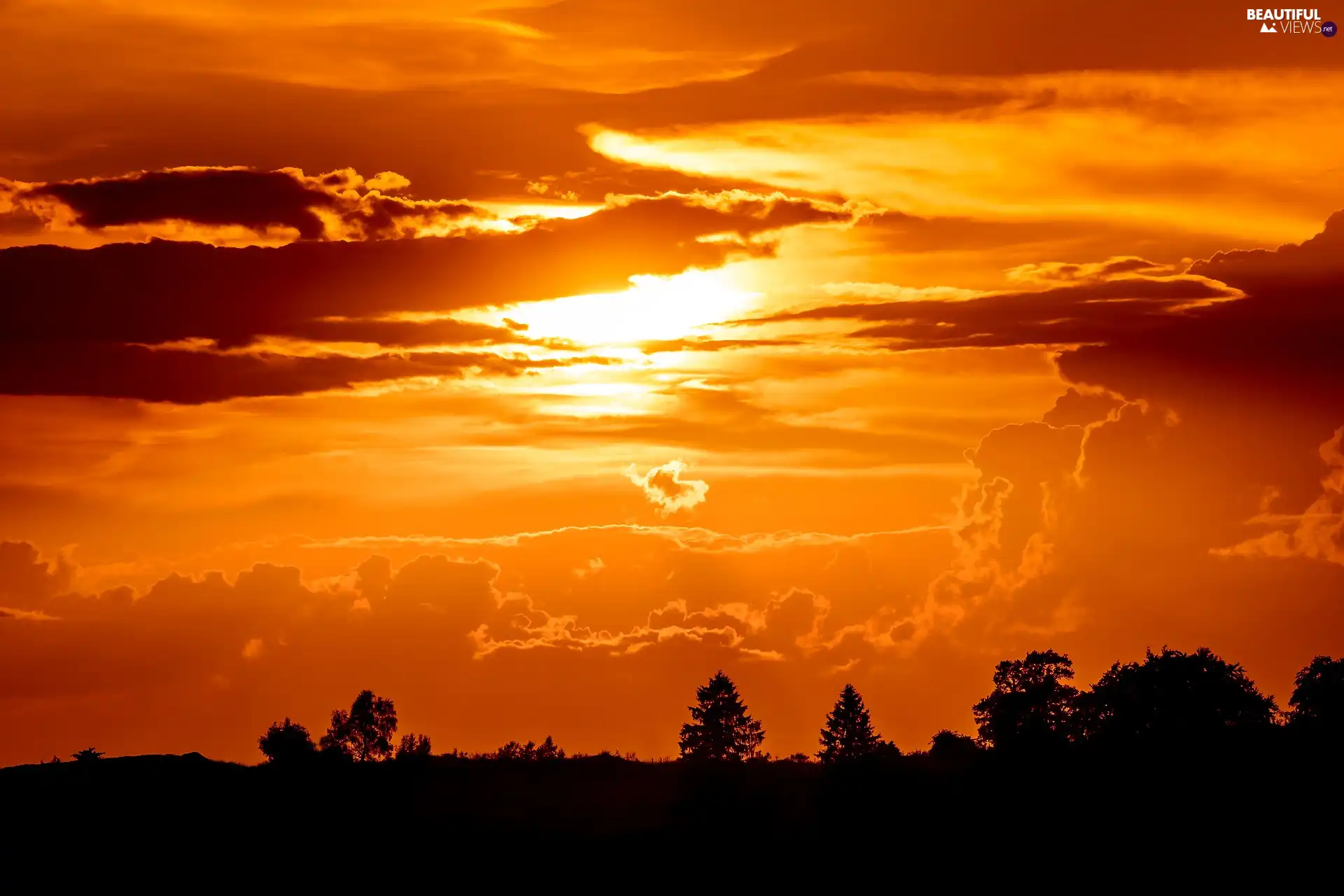 trees, Great Sunsets, clouds, viewes