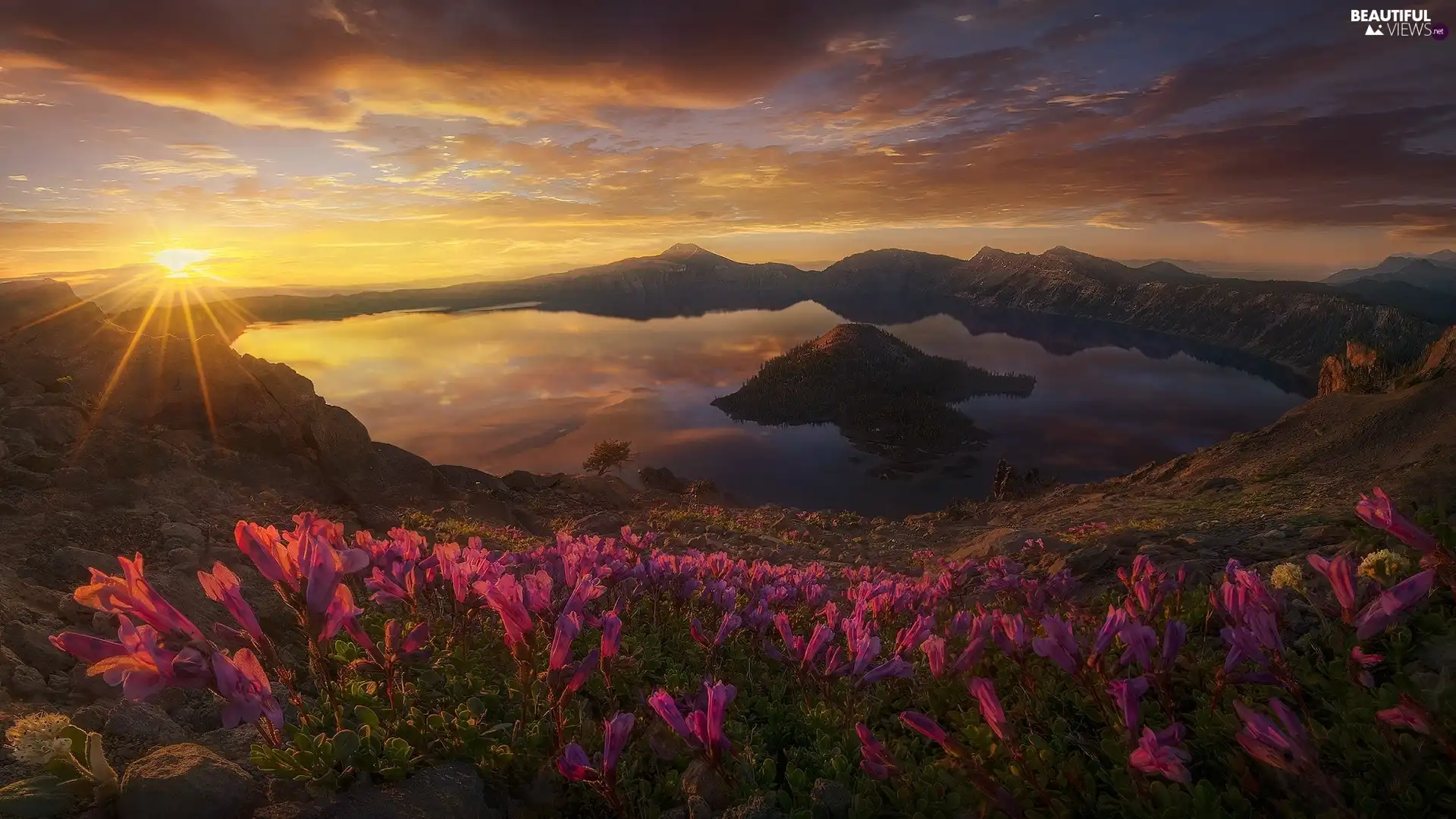 State of Oregon, The United States, Island of Wizard, Crater Lake, rays of the Sun, Flowers, Mountains, Great Sunsets, Crater Lake National Park